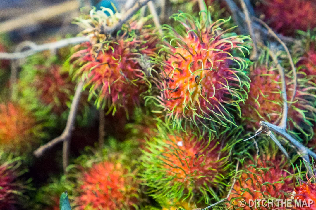 Cameron Highlands, Malaysia