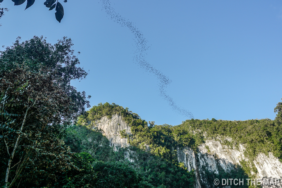 Mulu (Sarawak), Borneo