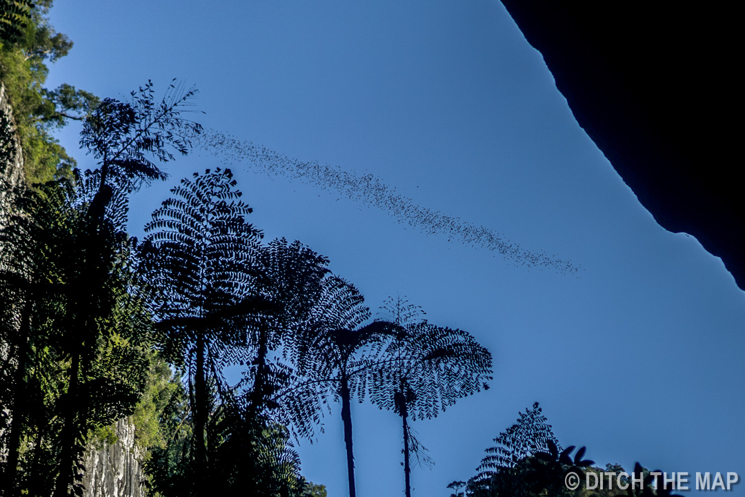 Mulu (Sarawak), Borneo