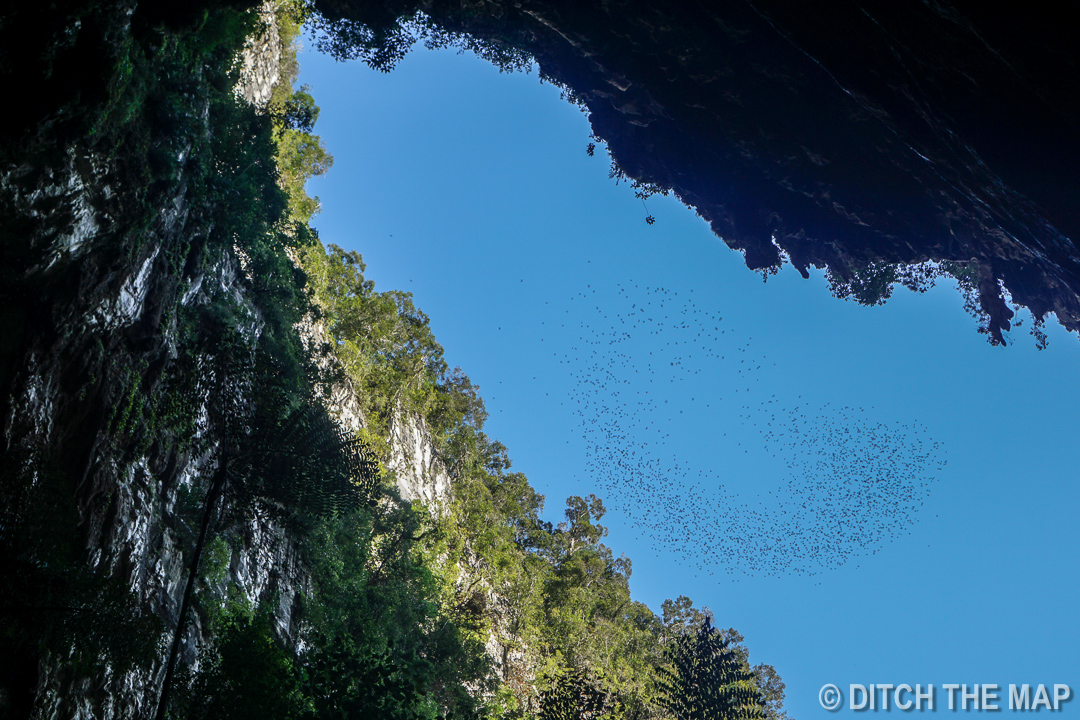 Mulu (Sarawak), Borneo