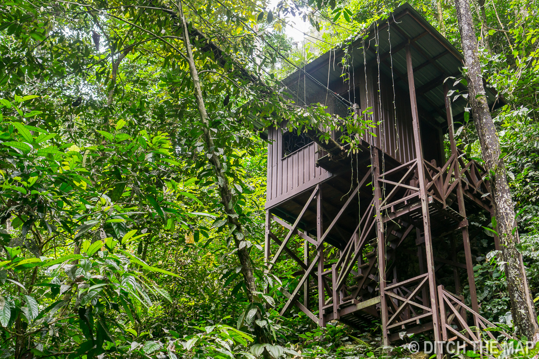 Mulu (Sarawak), Borneo