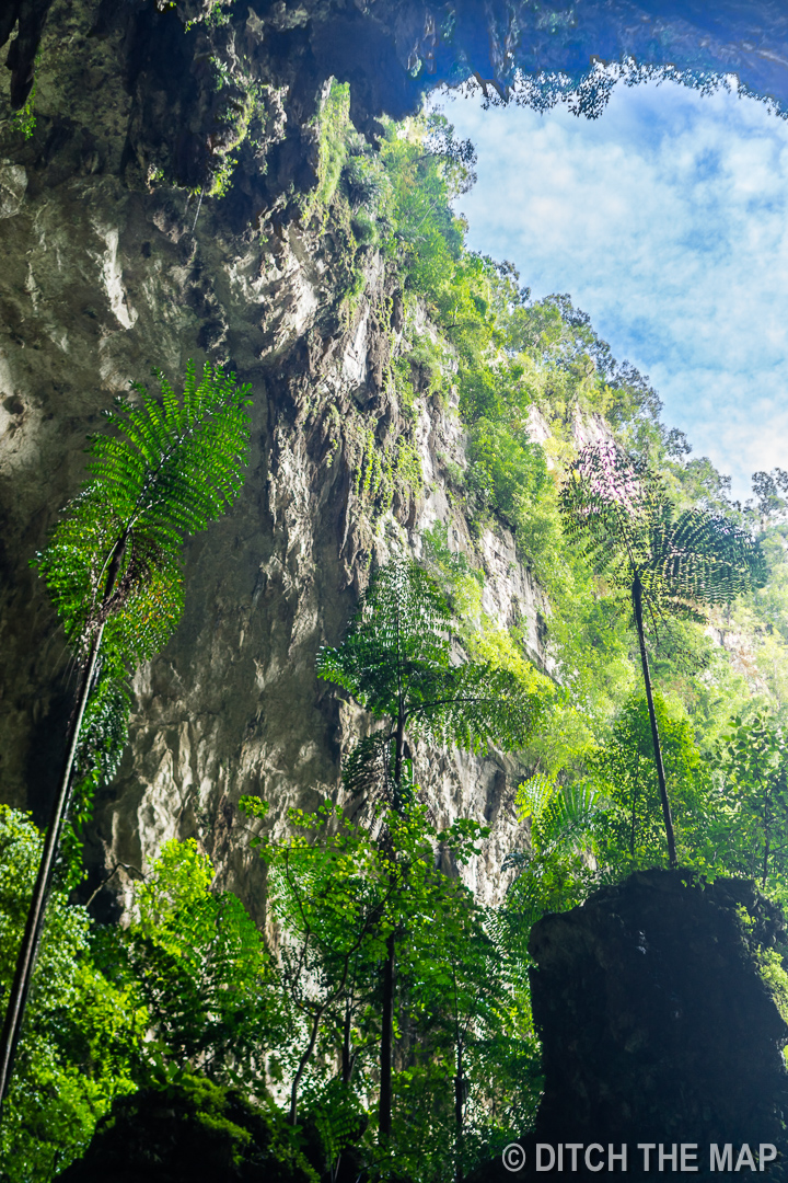 Mulu (Sarawak), Borneo