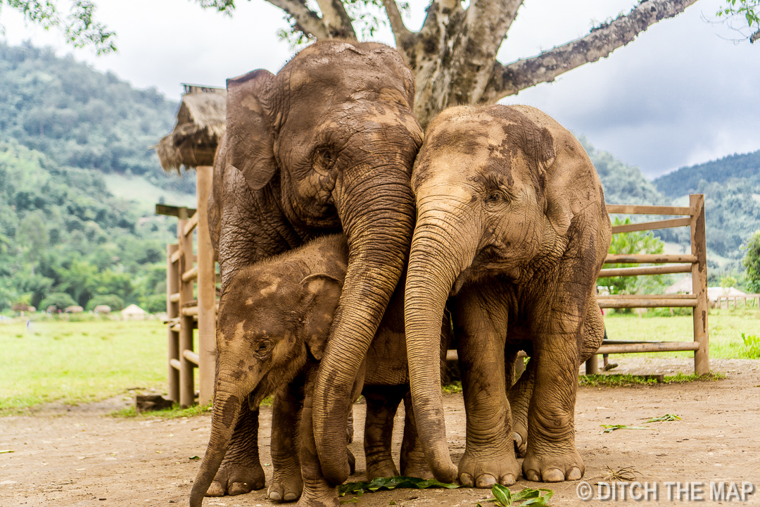 Chiang Mai, Thailand