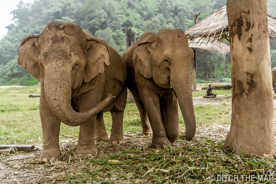 Chiang Mai, Thailand