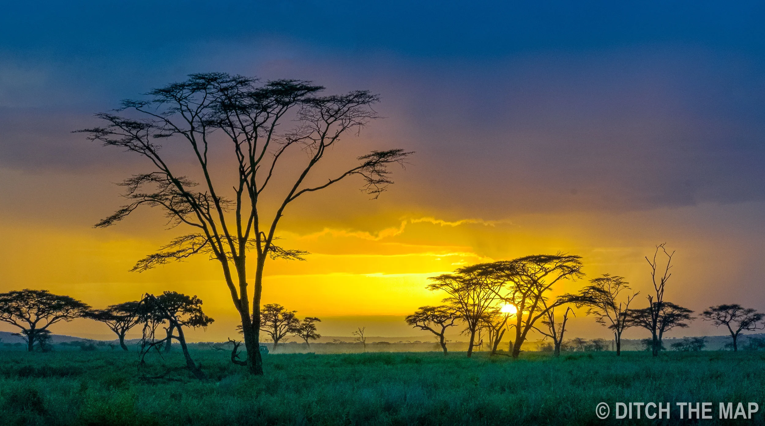 What Type of Safari Should you Choose? A Guide
