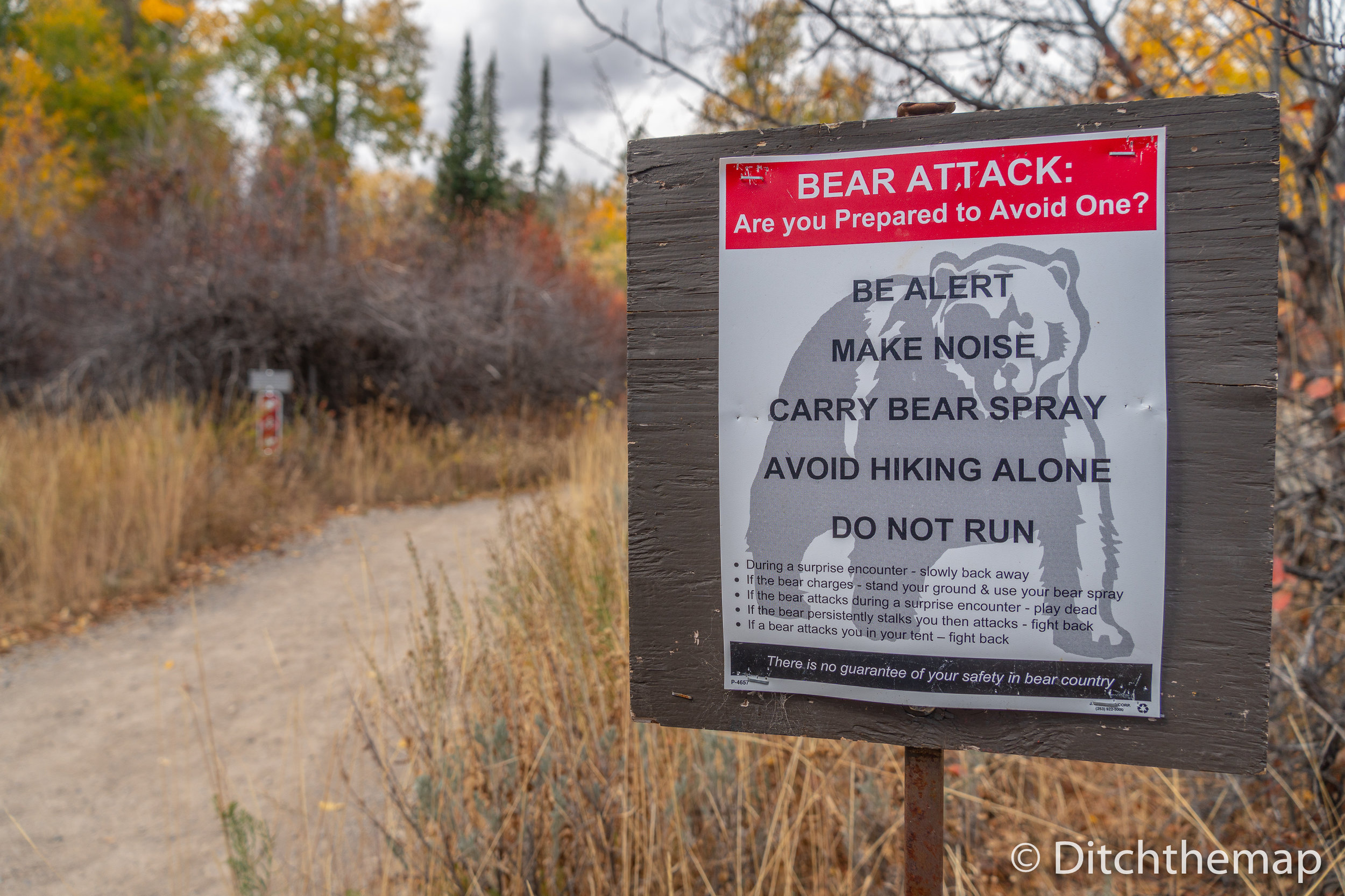 Bear Attack Poster at start of hike