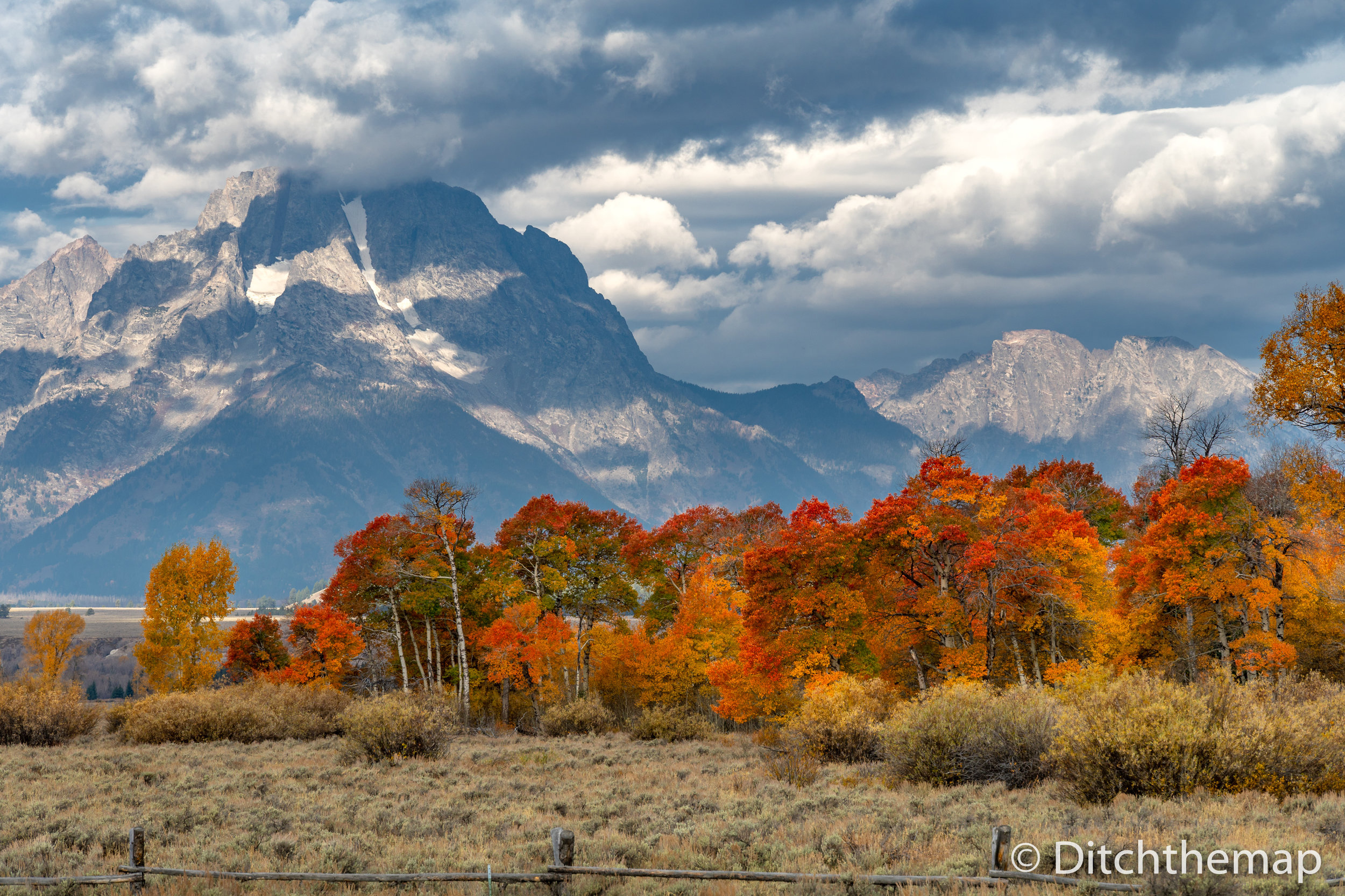 Red, yellow, and orange leaves changing with mountain in backgro