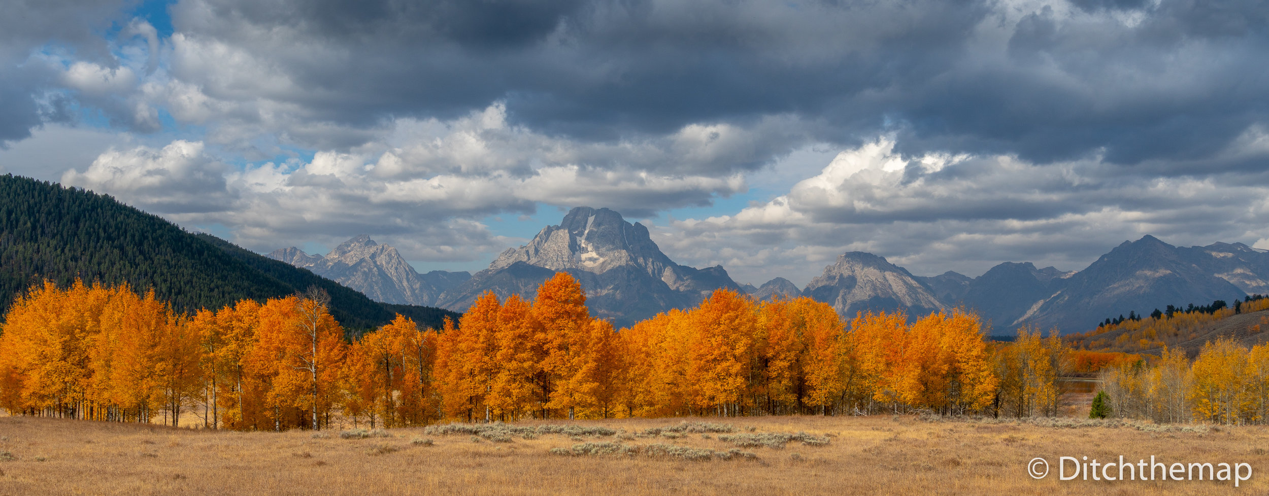 Red, yellow, and orange leaves changing with mountain in backgro