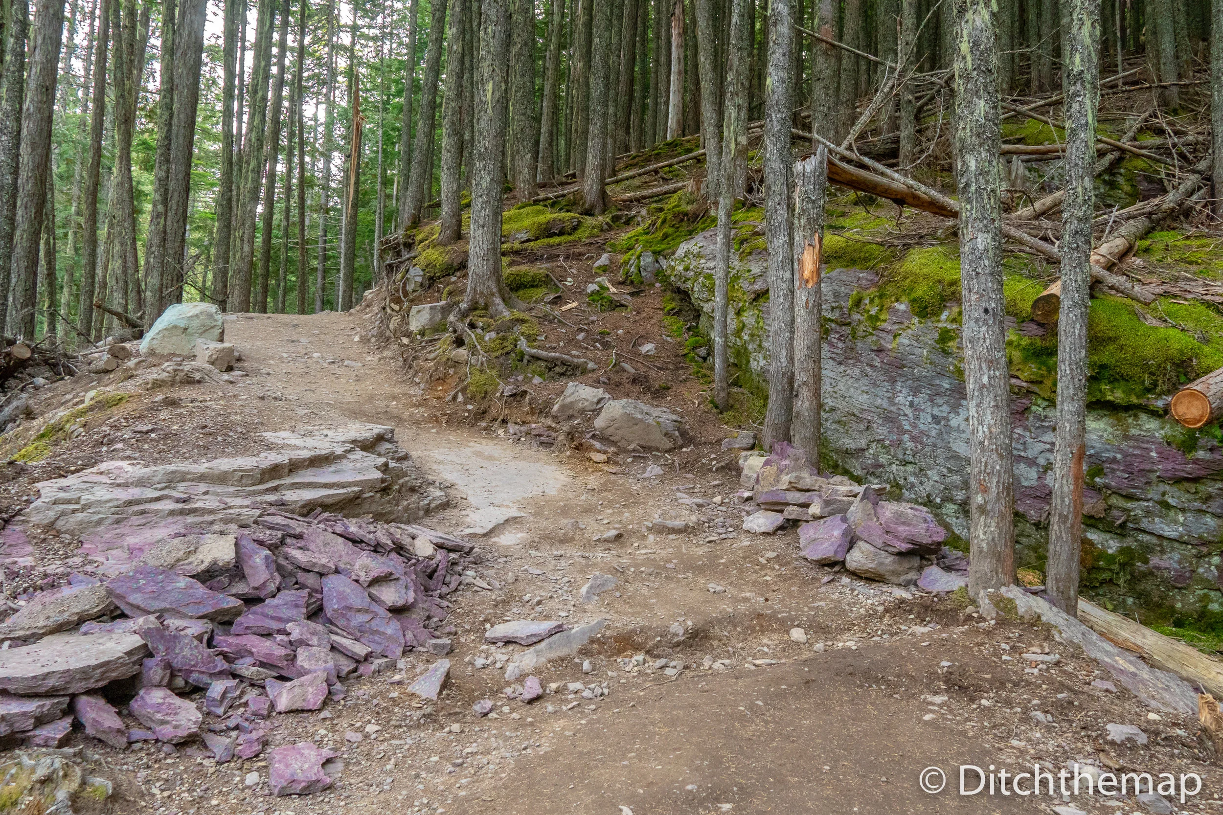 Purple rocks during out hike to Avalanche Lake, Glacier National Park, Montana
