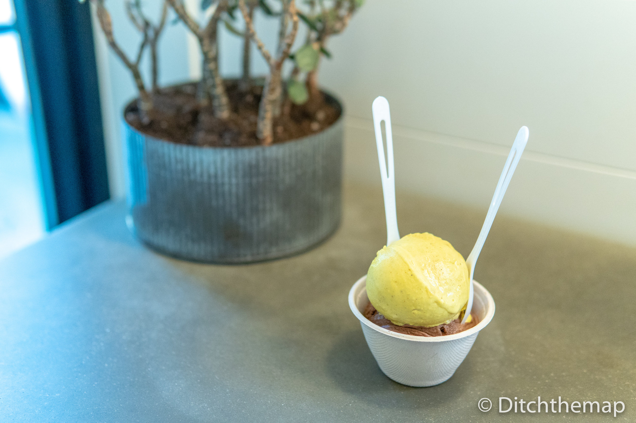 Tasting our vegan icecream