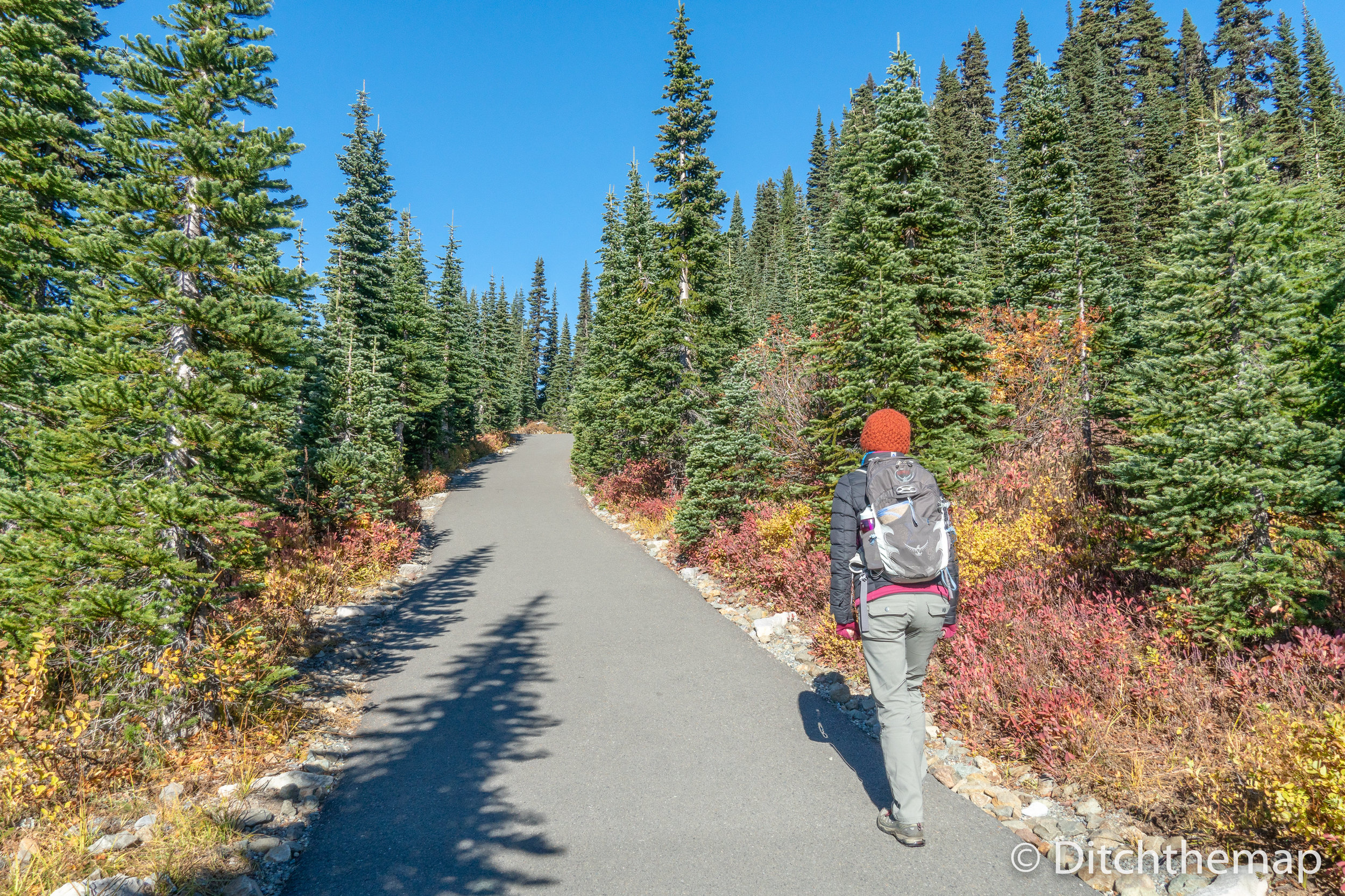 Women hiking Skytrail Loop Hiking Path to Mt. Rainier