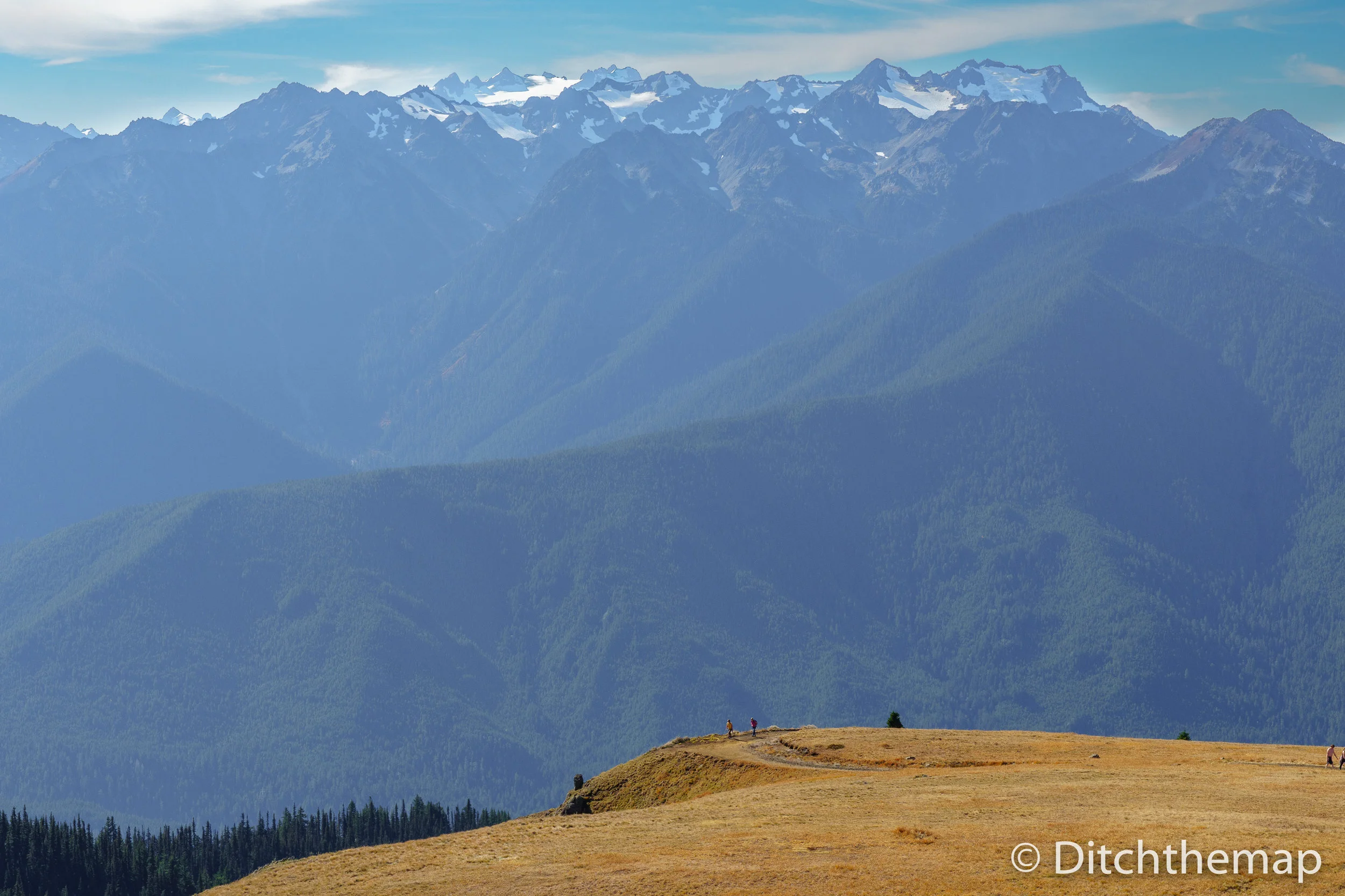 Hurricane Ridge Trail Lookout Point