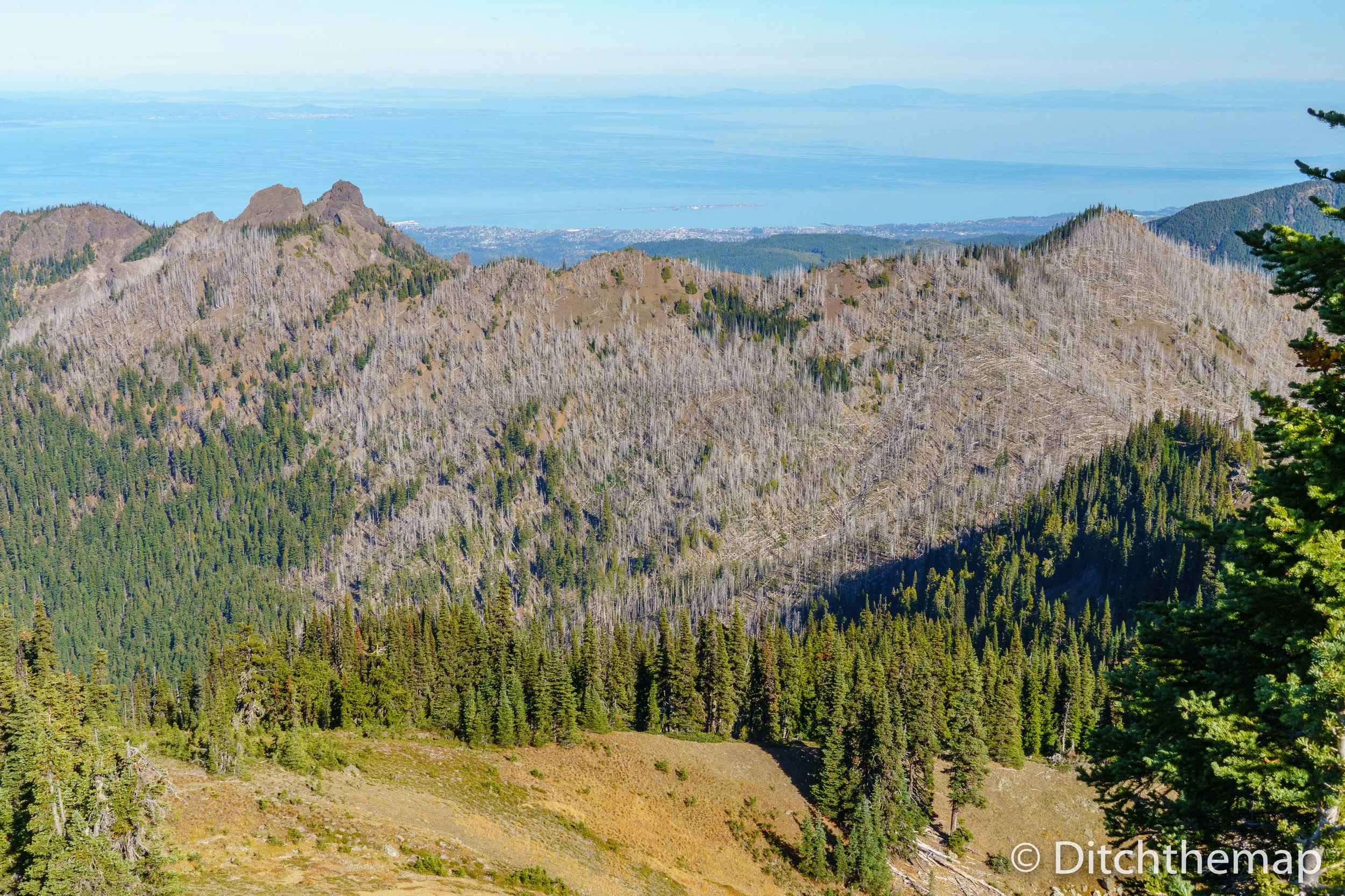 Hurricane Ridge Trail Lookout Point