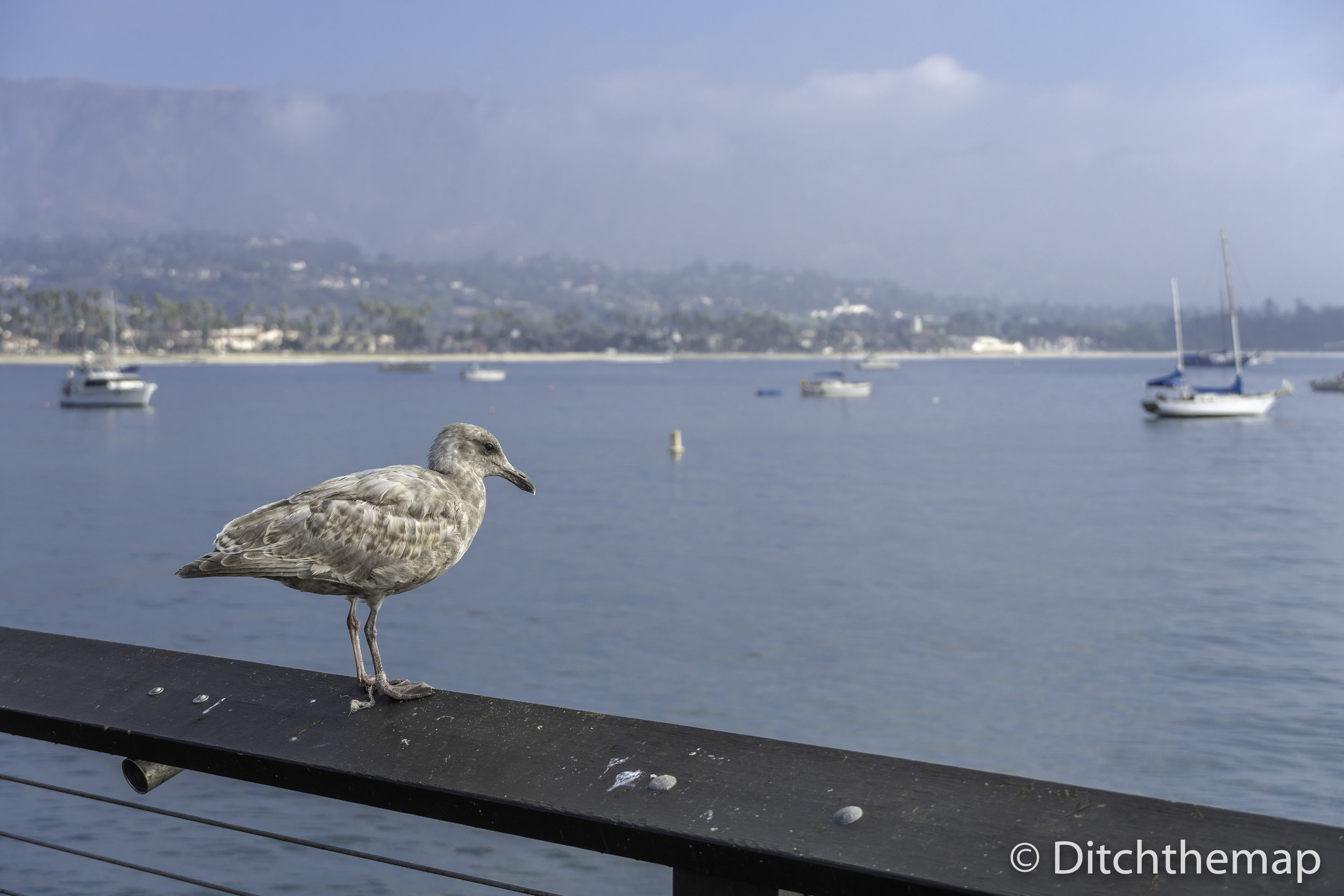 Downtown Santa Barbara - Central California Coastal City