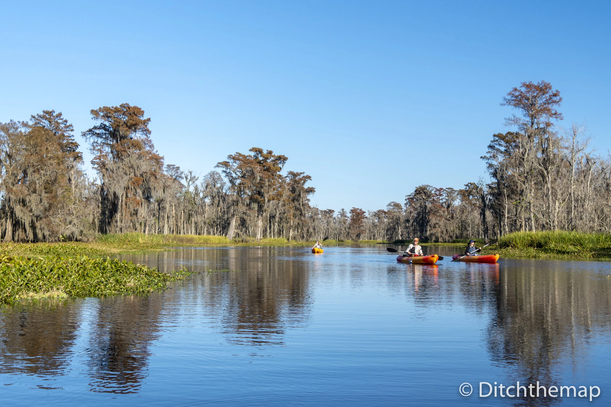 Manchac Mystic Wildlife Kayak Tour