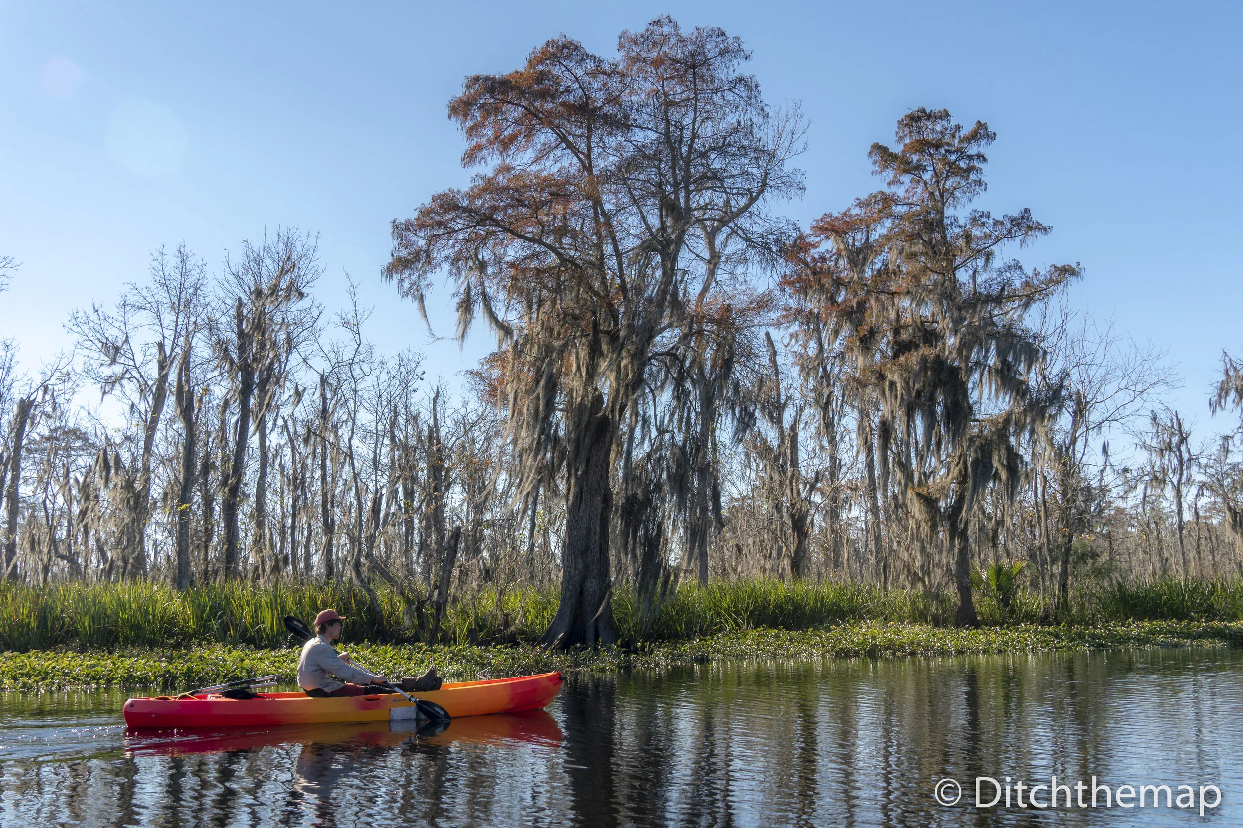 Manchac Mystic Wildlife Kayak Tour