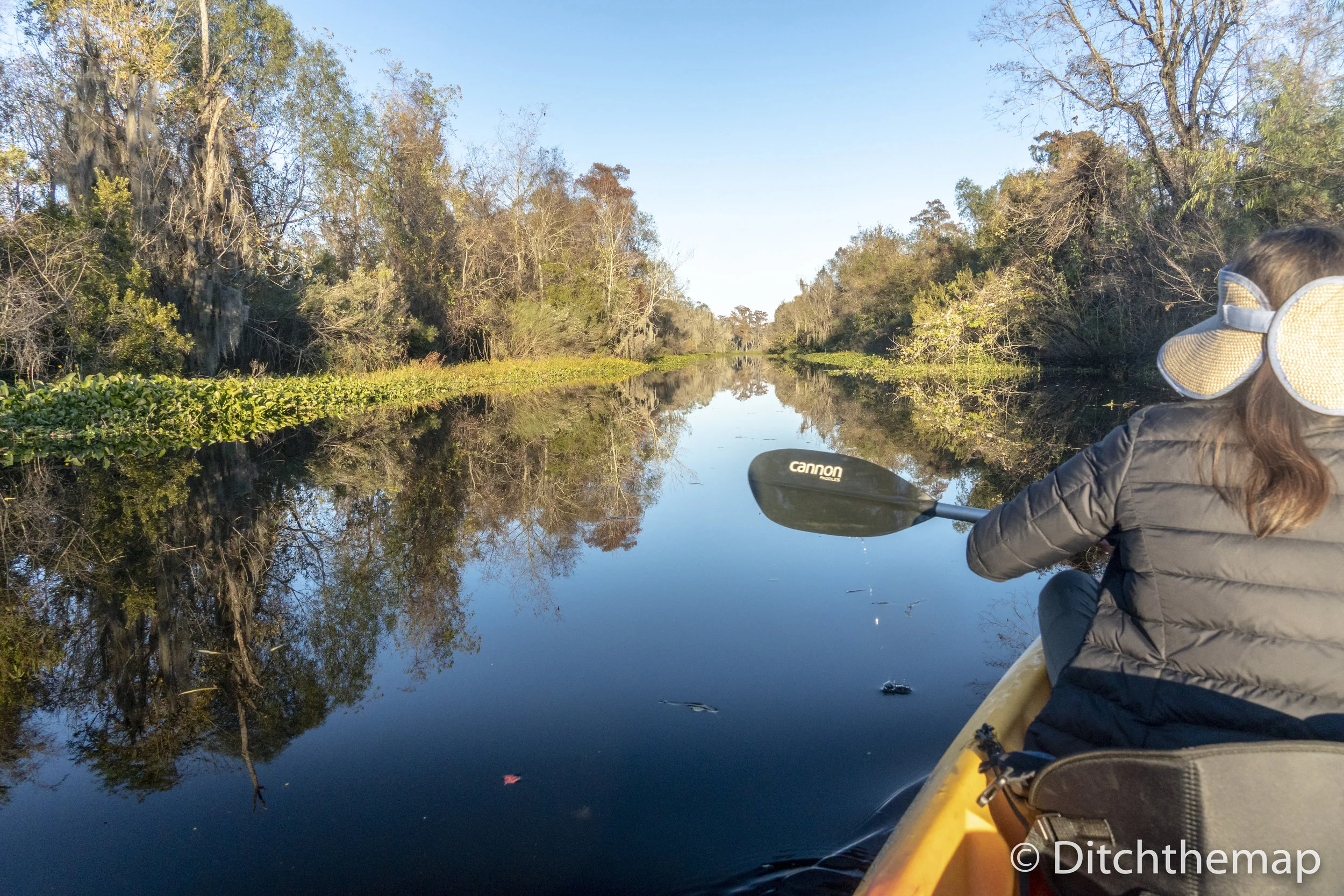 Manchac Mystic Wildlife Kayak Tour