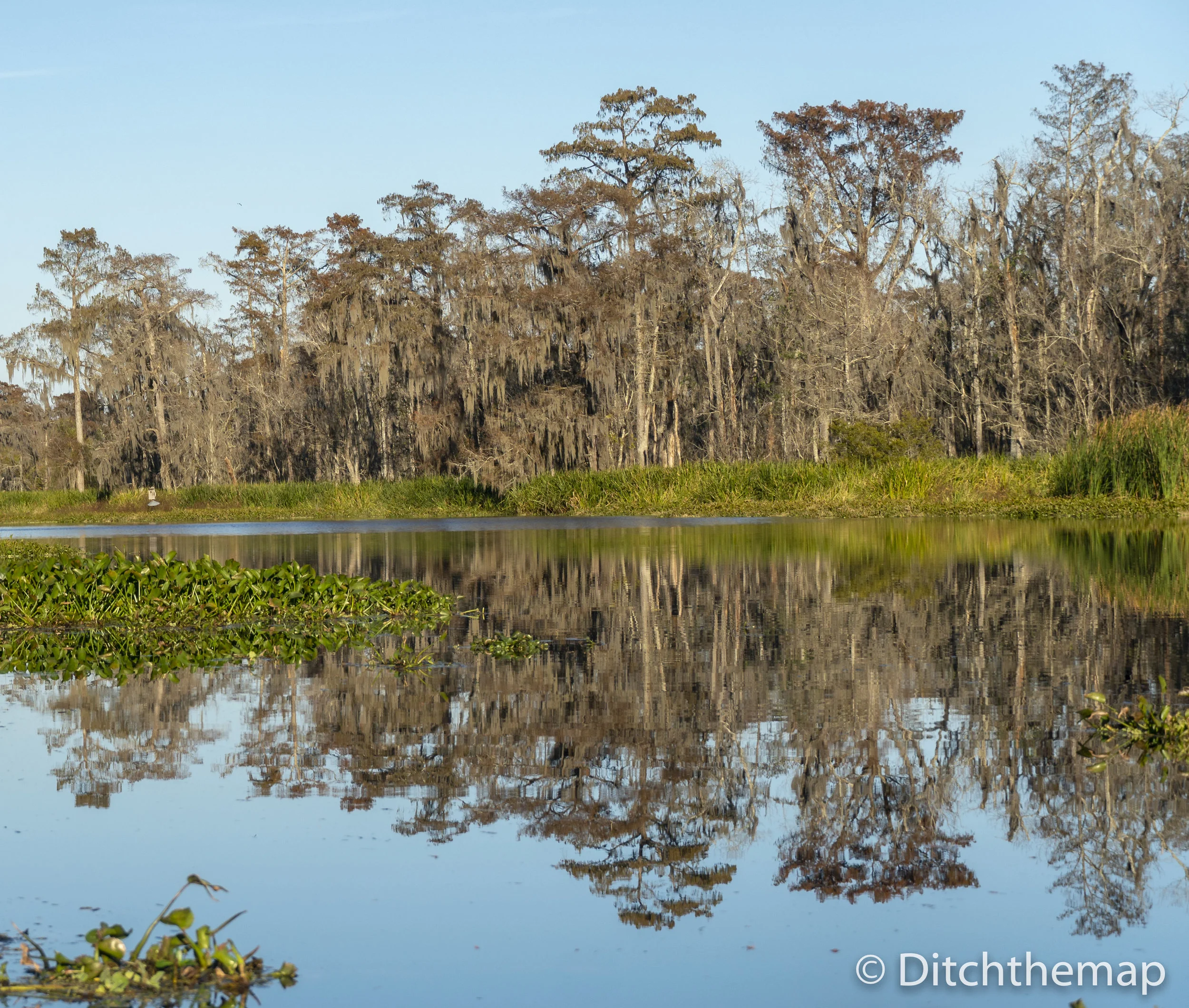 Manchac Mystic Wildlife Kayak Tour