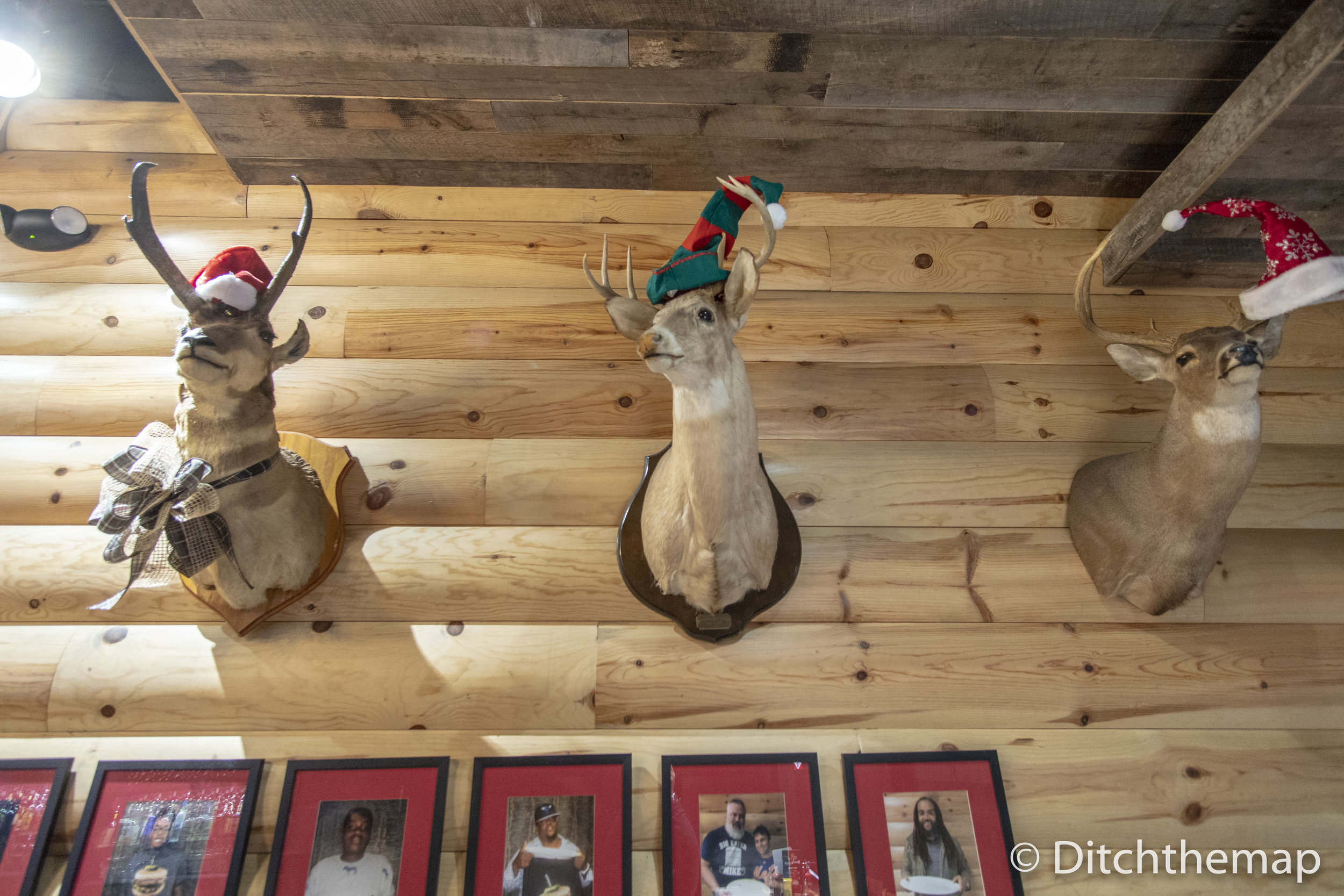 Wall Decor