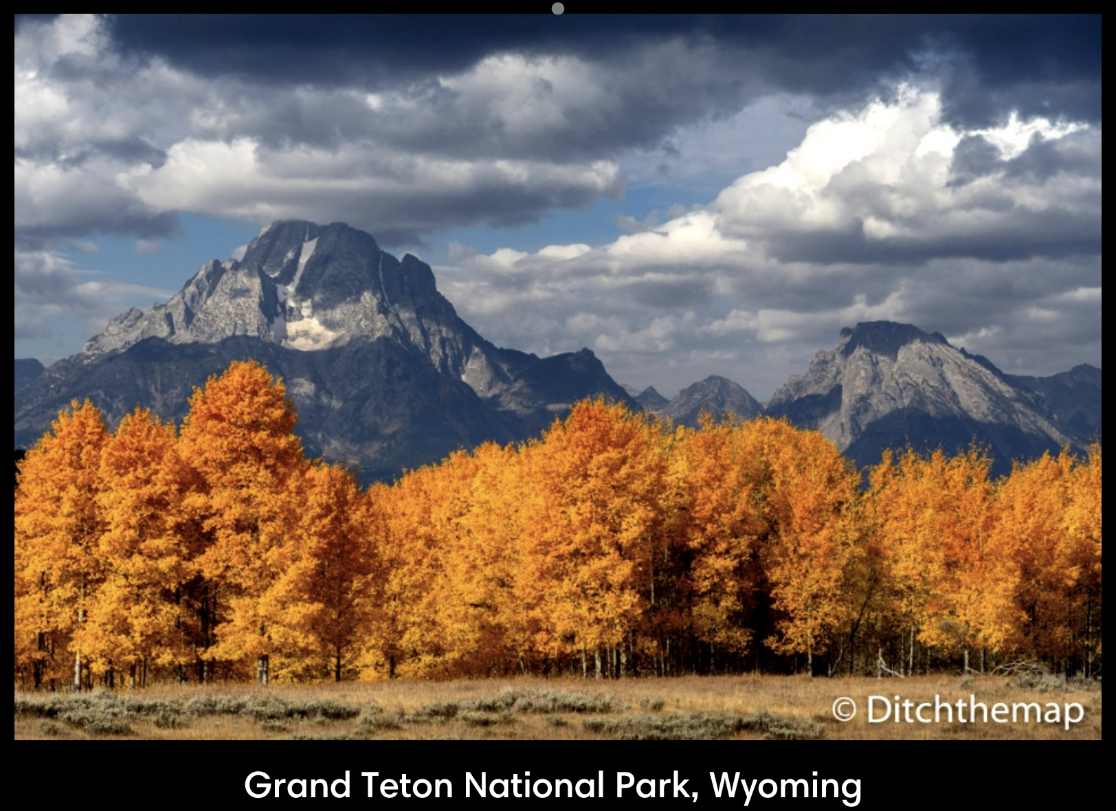 Screen Shot 2019-02-06 at 4.41.18 PM.png