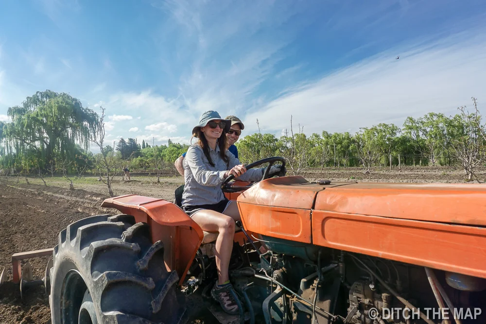 Workaway: Helping on a Farm in Tupungato, Argentina