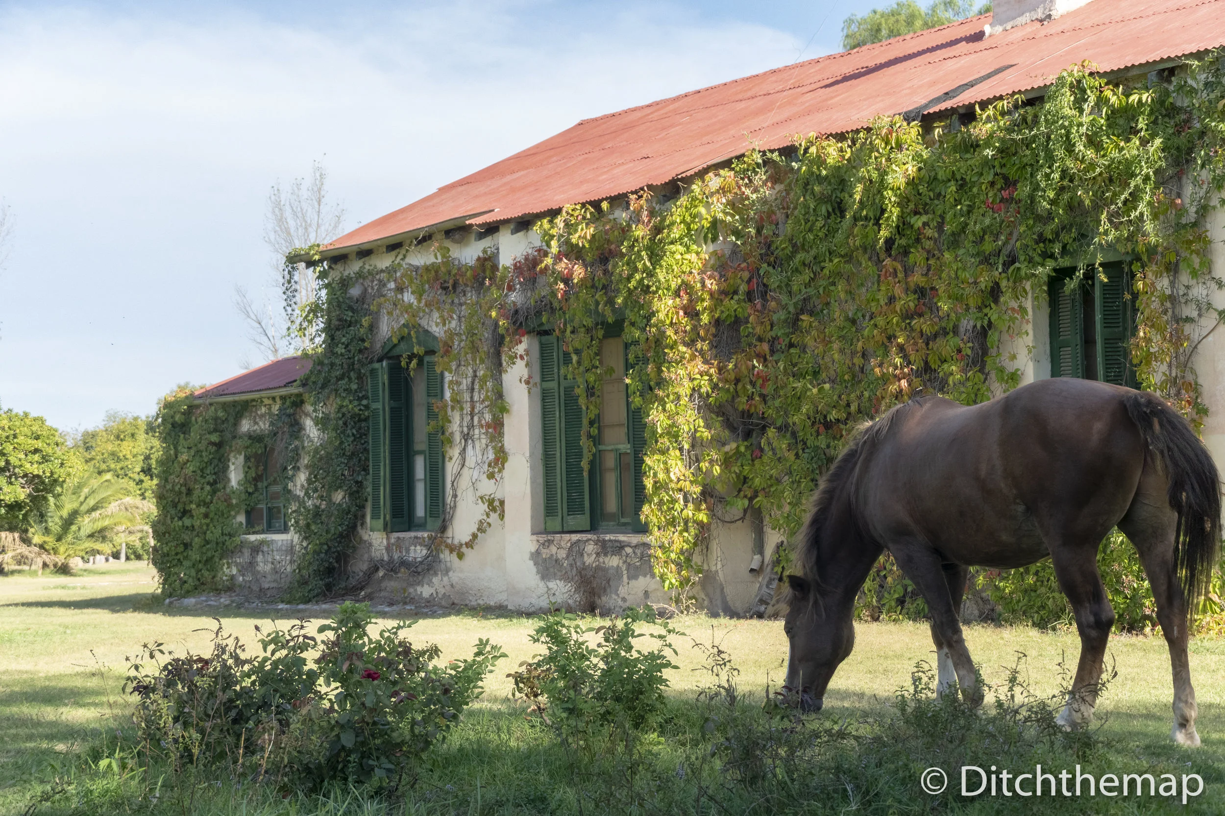 What is Workaway? Our Experience Volunteering at a Bed and Breakfast in San Rafael, Argentina