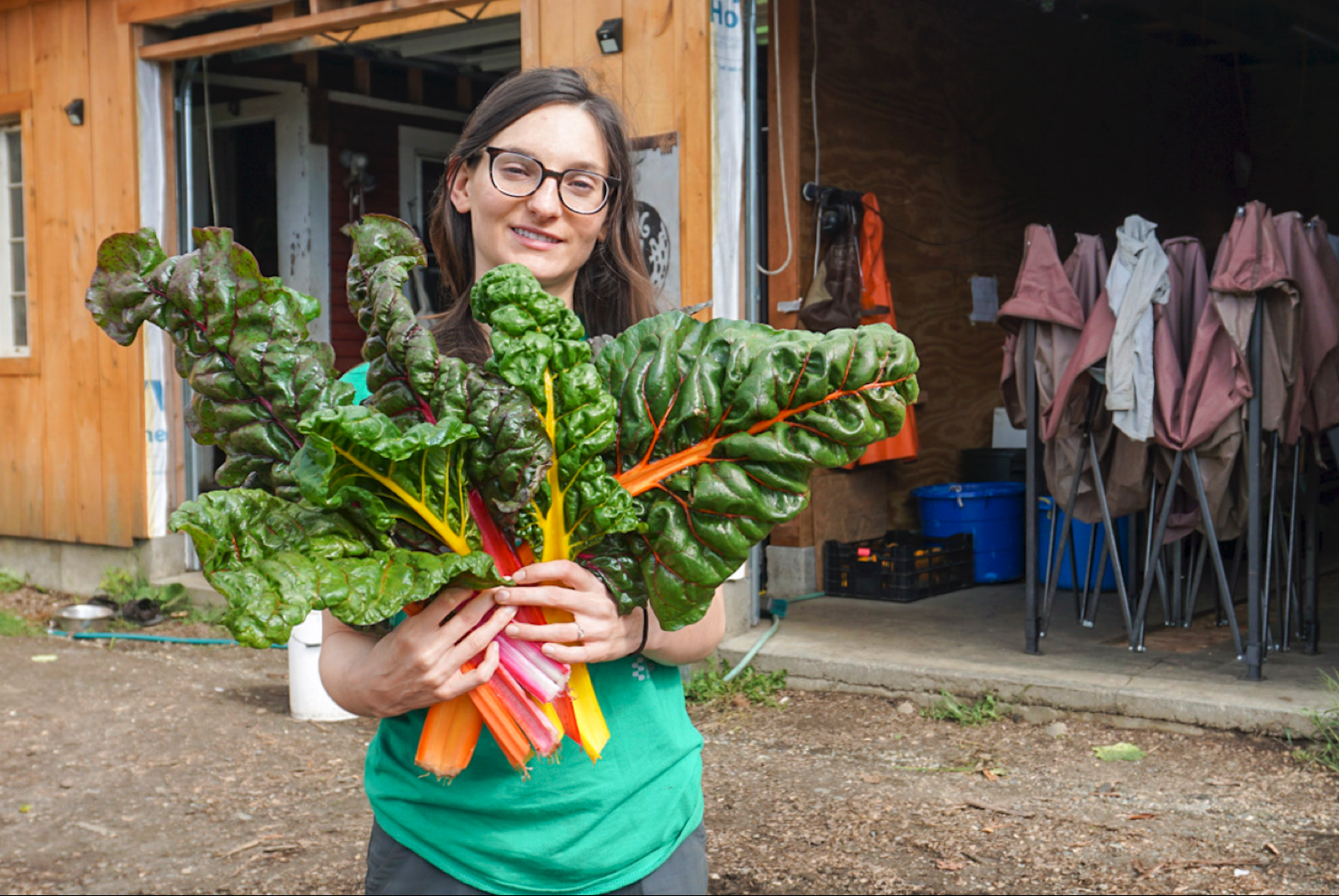 Workaway: Helping to build a permaculture farm in Royalton, Vermont