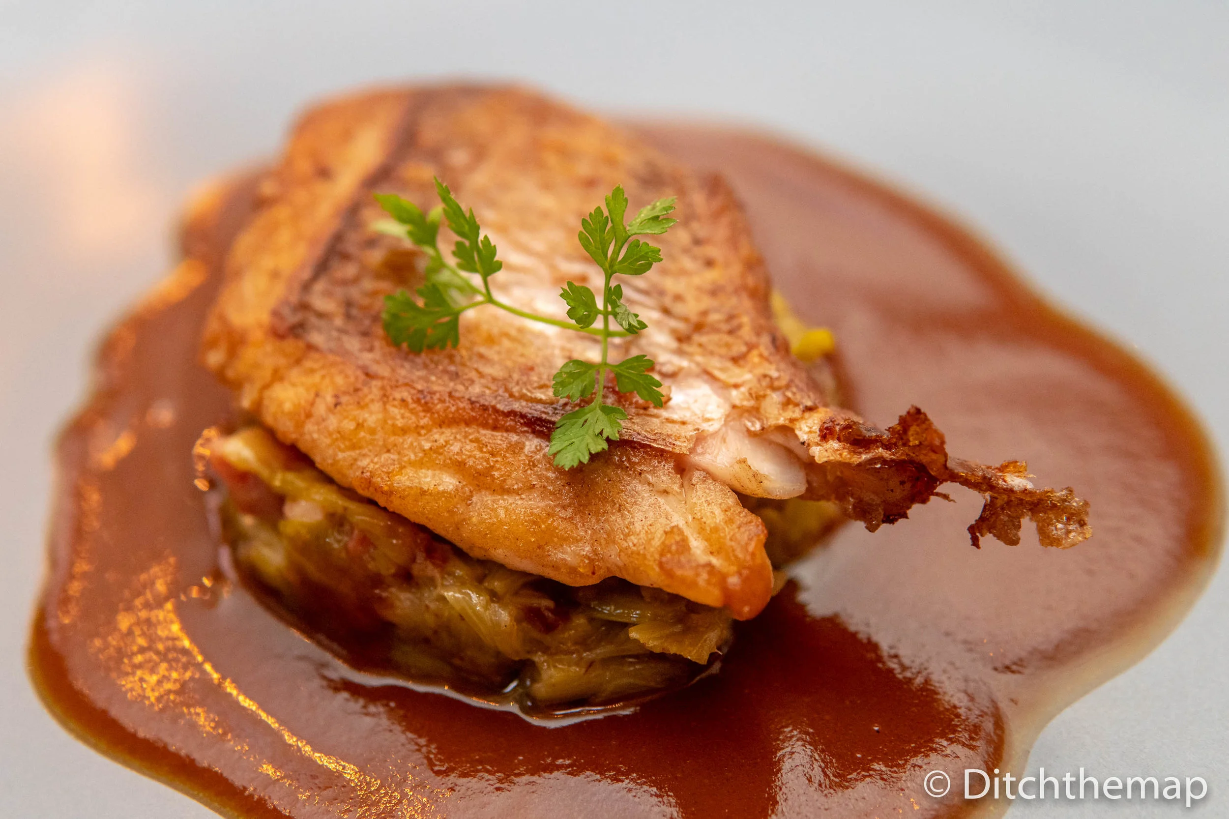 Fillet of Fish with Red Sauce
