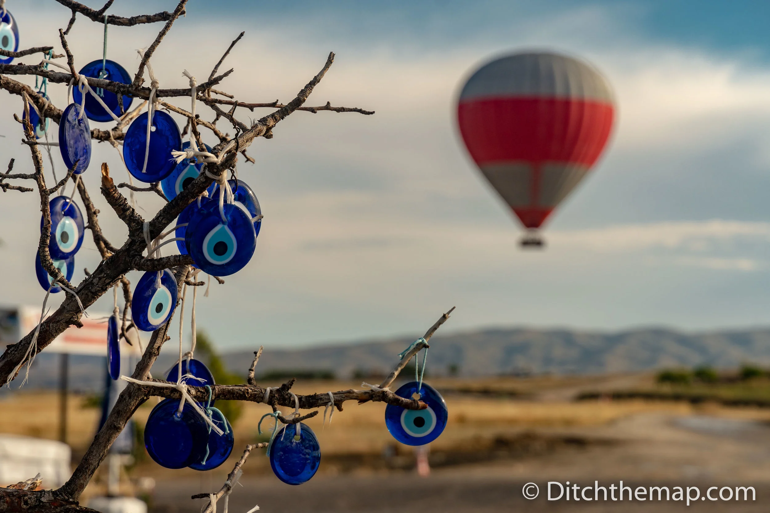 Evil Eye Tree with Hot Air Balloon in Bckground