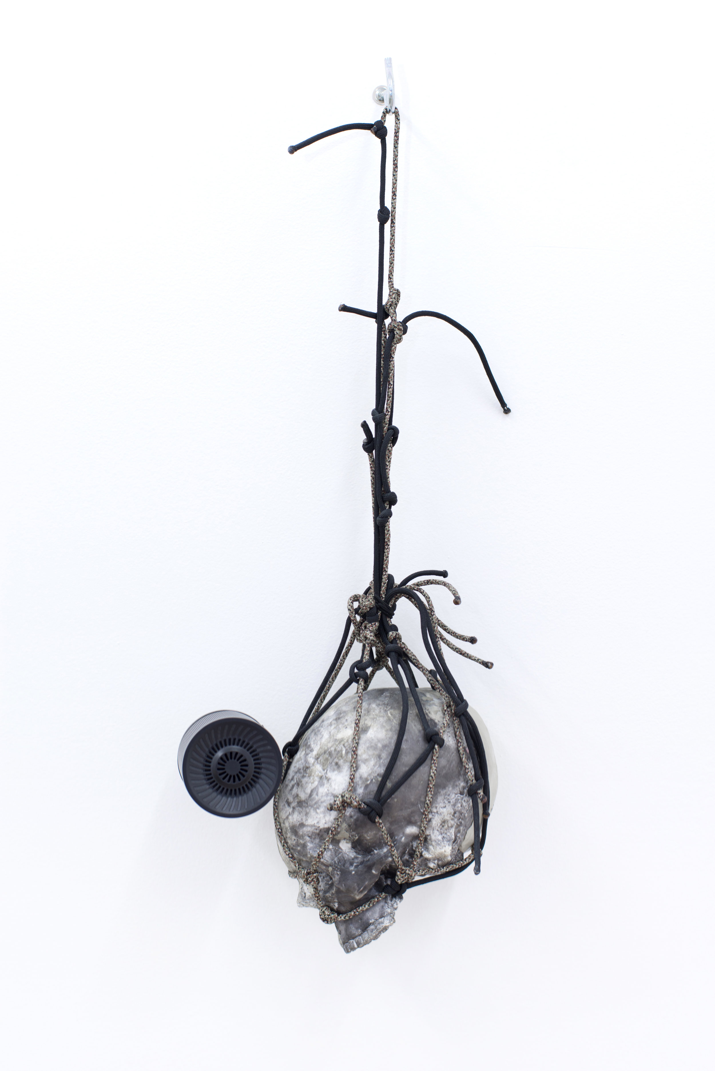 Ian Swanson Birds, flies, 2016 Plastic, epoxy clay, carbon, USB flash drive, USB speaker, paracord, 9:48 audio loop