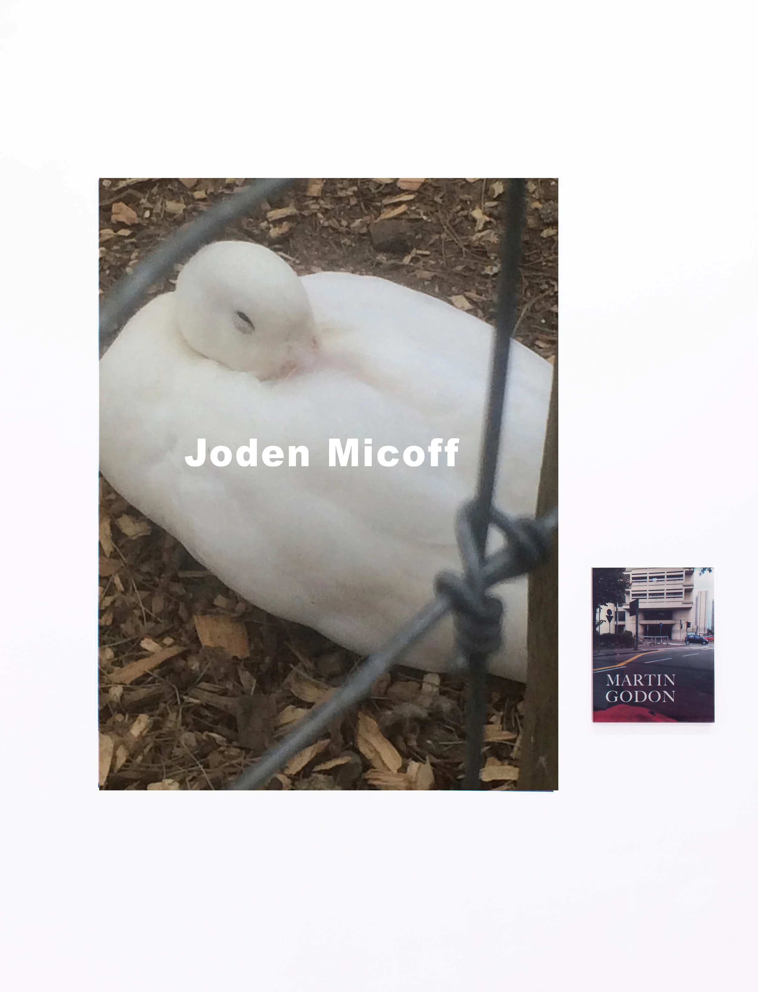 Libby Rothfeld Untitled (Joden Micoff), 2017 Vinyl and acrylic print