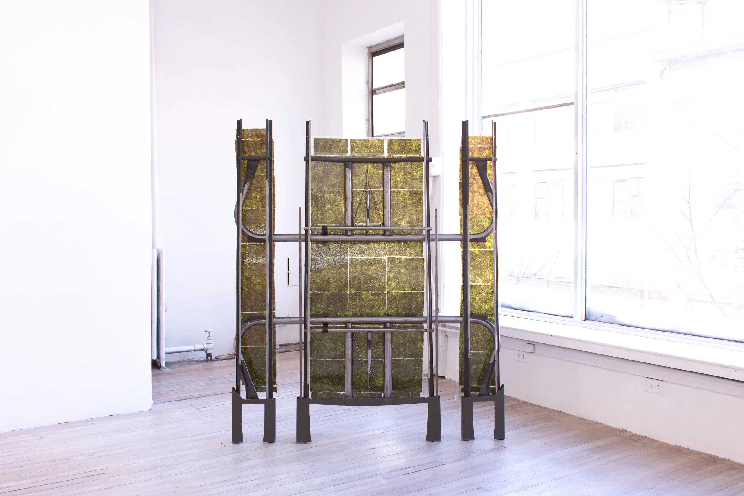 Anne Libby Waken, 2017 Laminated seaweed, powder coated steel, polyethylene