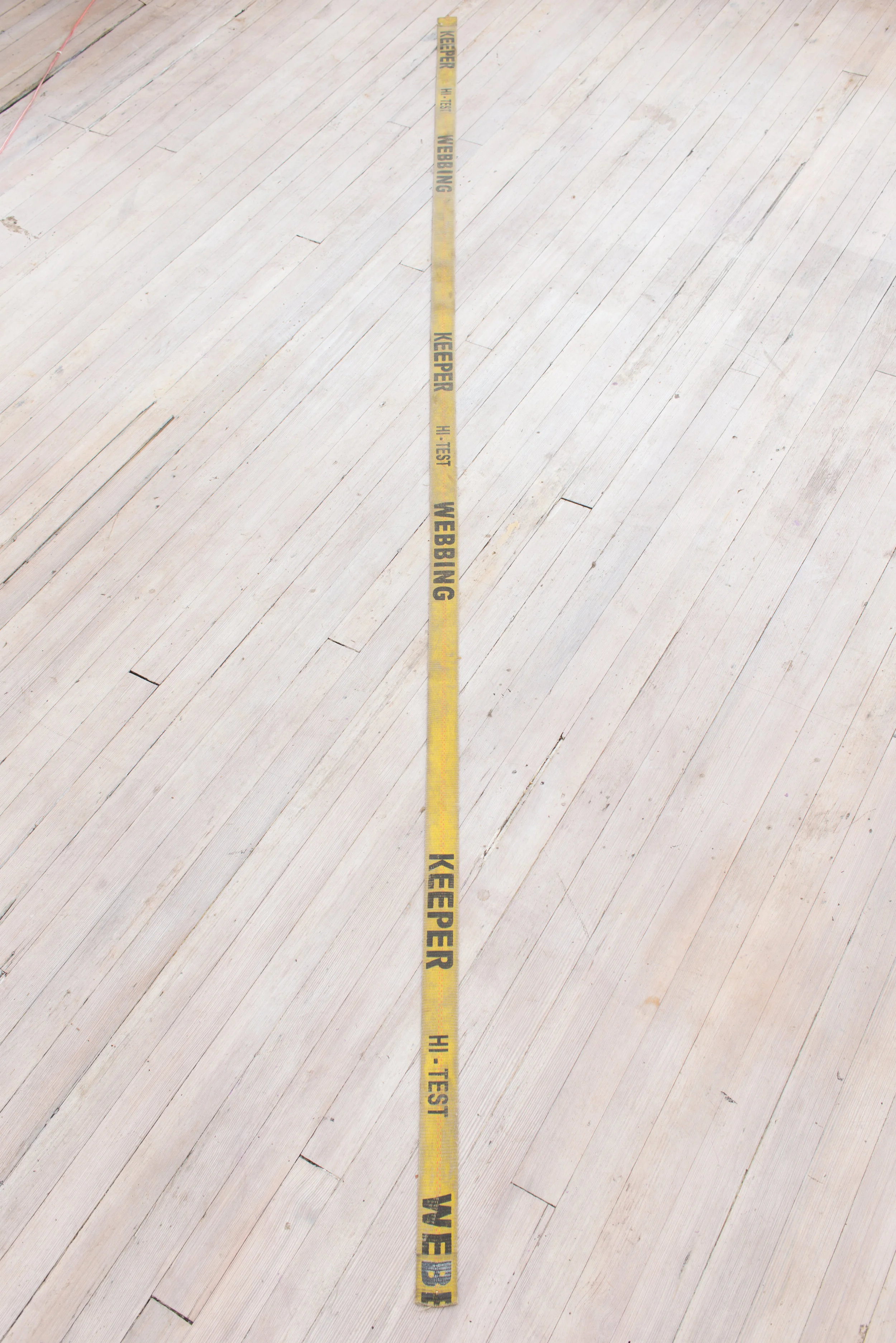 Phoebe Collings-James Brother's Keeper, 2017 125 x 2 inches