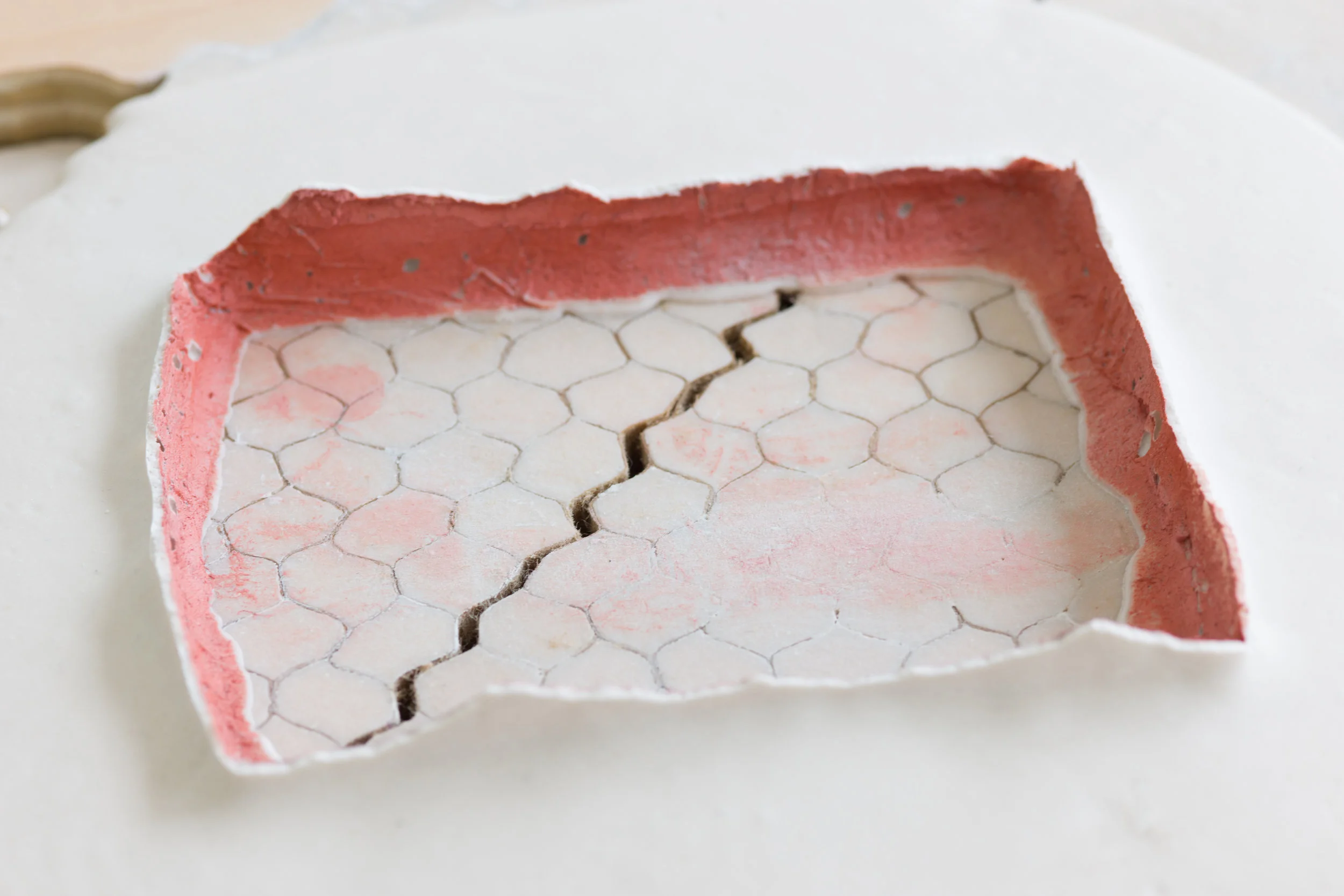 Barb Smith No. 4 (detail), 2017