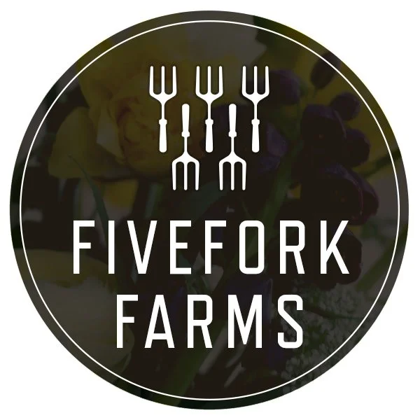fivefork instagram logo.jpg