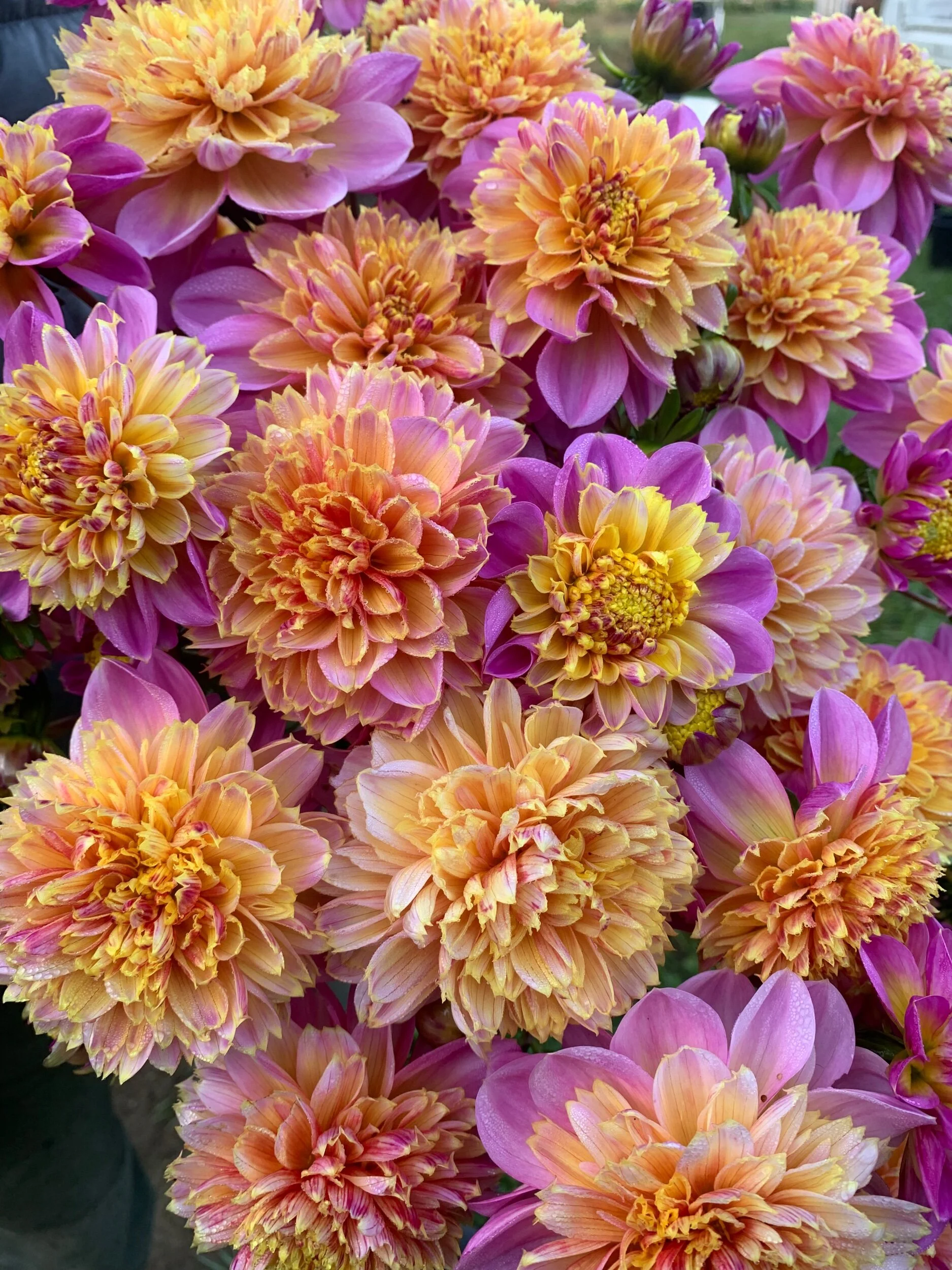 A22A2E1B-77EB-45A1-8949-6A247D373714