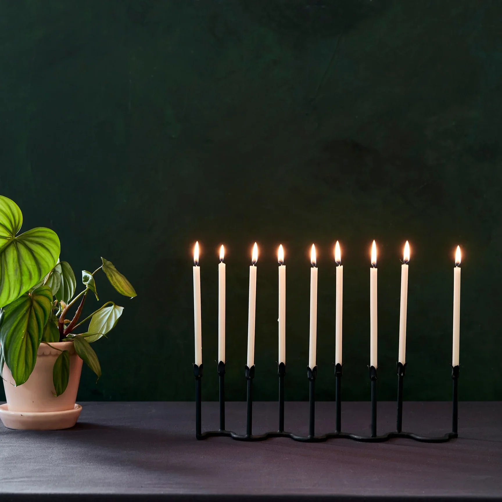 FloralSociety_HanukkahCandles_BeaconMenorahjpg_fe40cf43-c24e-4d09-9c93-f6764280bf74_1728x.webp