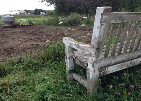 On the (Student) Farm