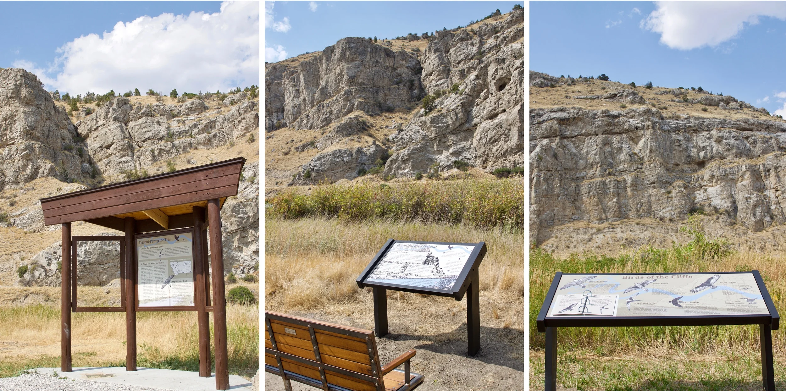 Slide4_TPT_SignsinLandscape.jpg