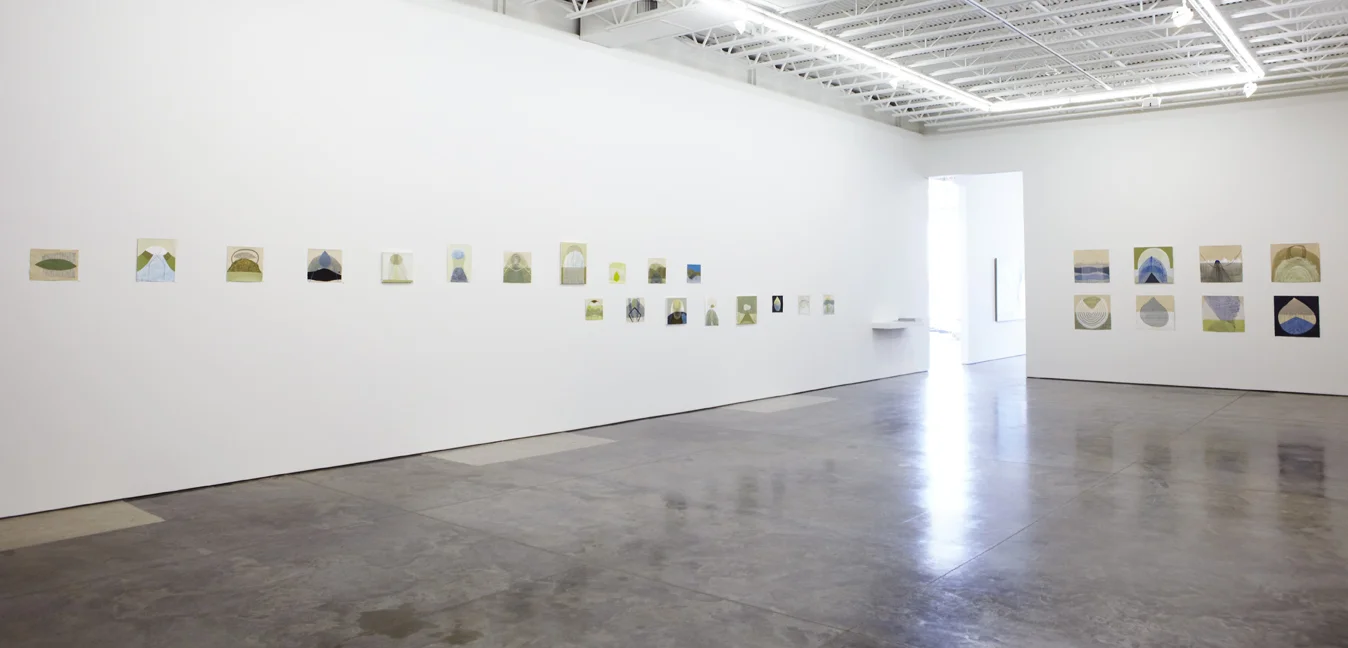 Ky Anderson, New Work , Dolphin Gallery, Kansas City, MO, 2010