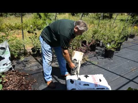 Build Your Raised Bed in a Bag - Creative Gardening