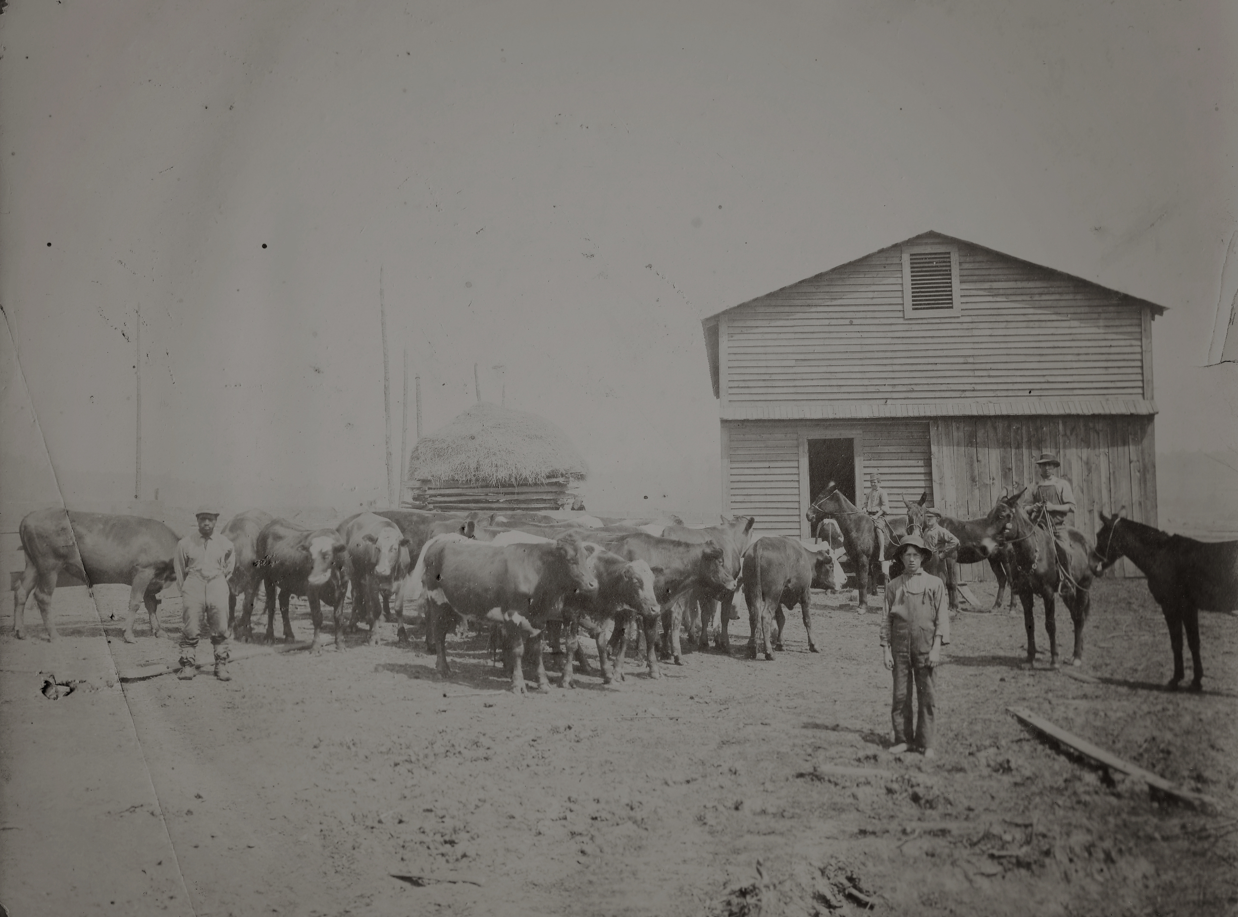 The Cattle Barn