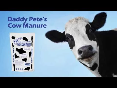 Daddy Pete's Cow Manure