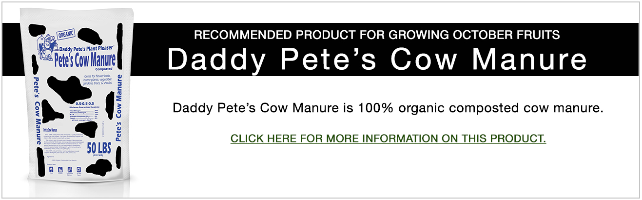 CowManure.jpg