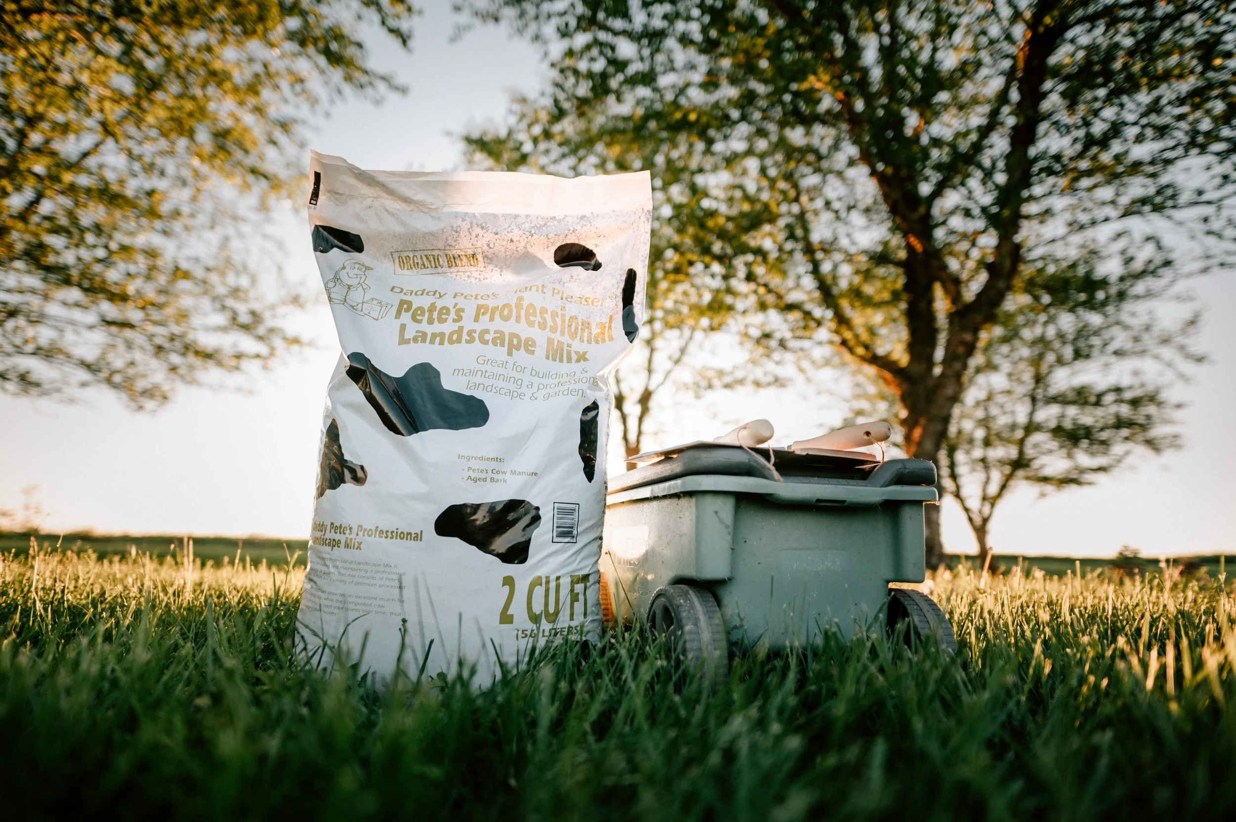 いぬ先生 Pete Namlook Ambient Gardener 3枚 Amazon.co.jp: The