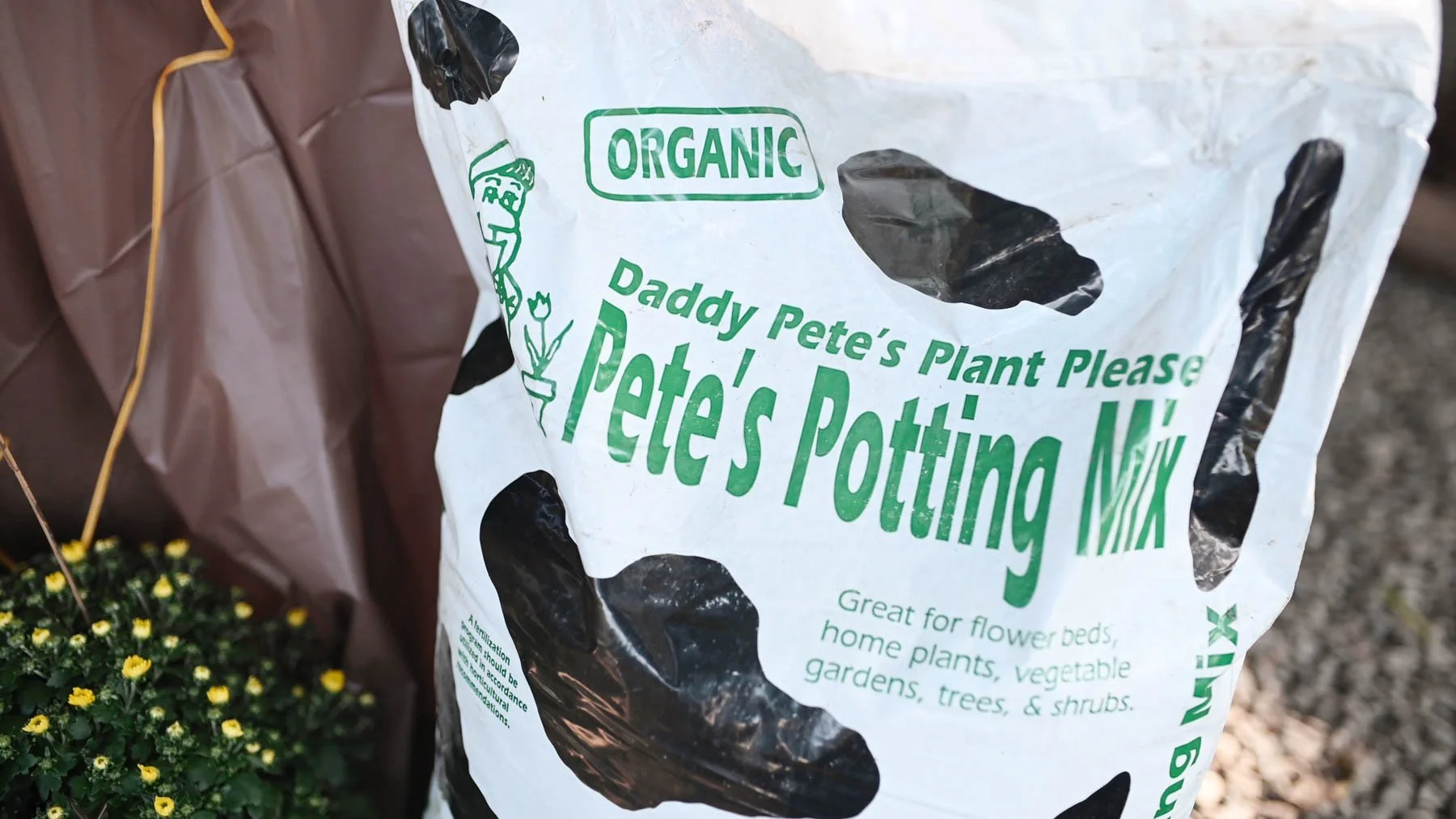 Fall Gardening Starts Now: Your August Planting Checklist