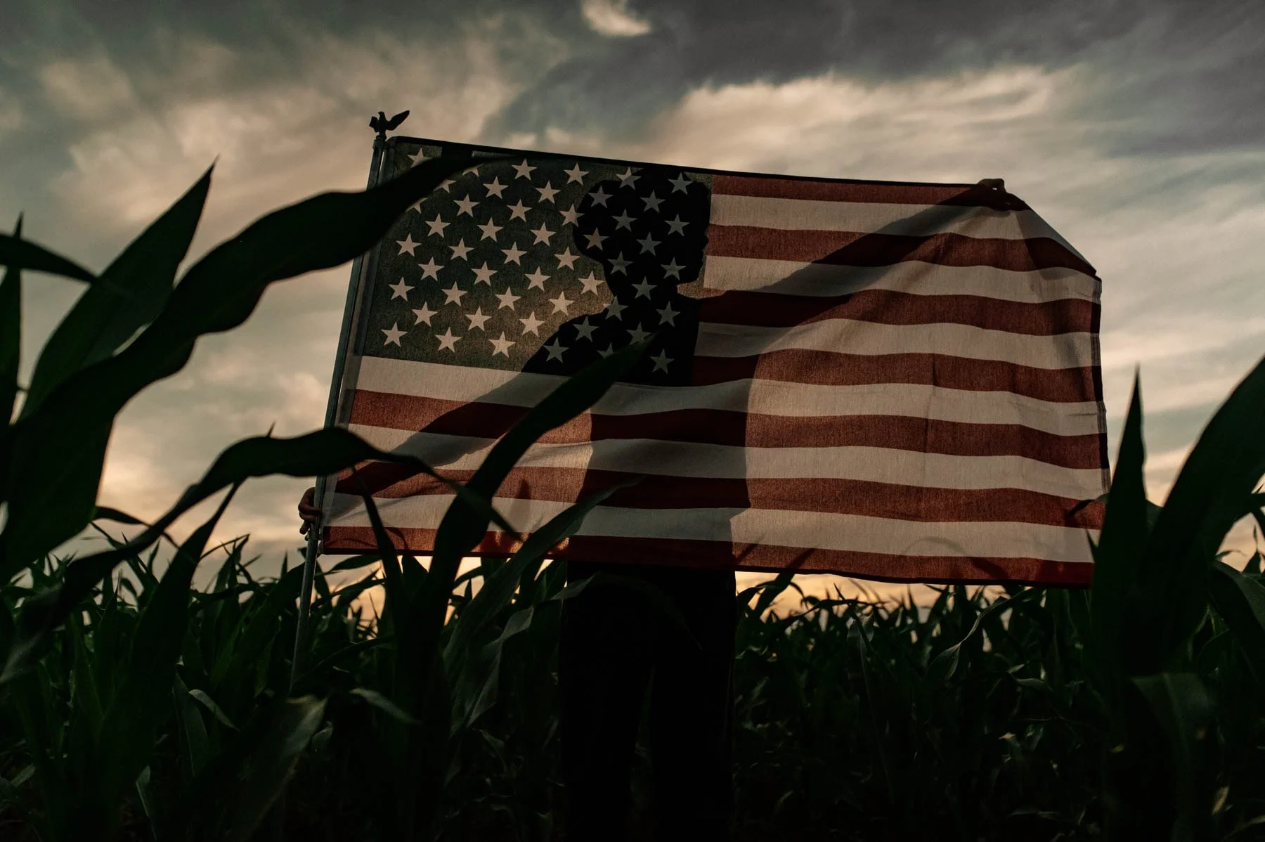 From the 4th of July to Harvest Time: July Gardening Tips