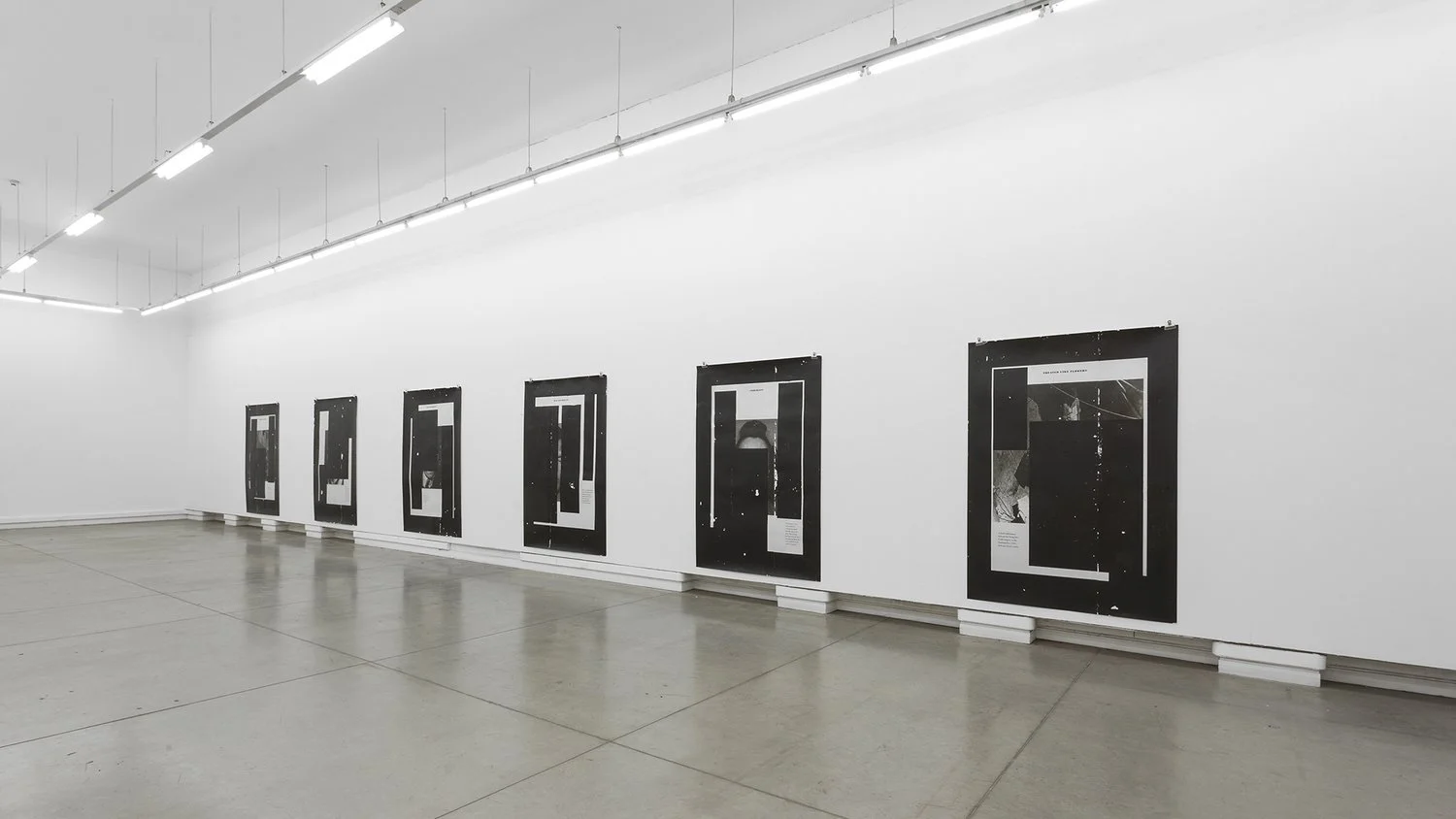 Treated Like Flowers _220 x 152 cm. c:u.jpg