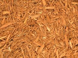 gold mulch.jpg