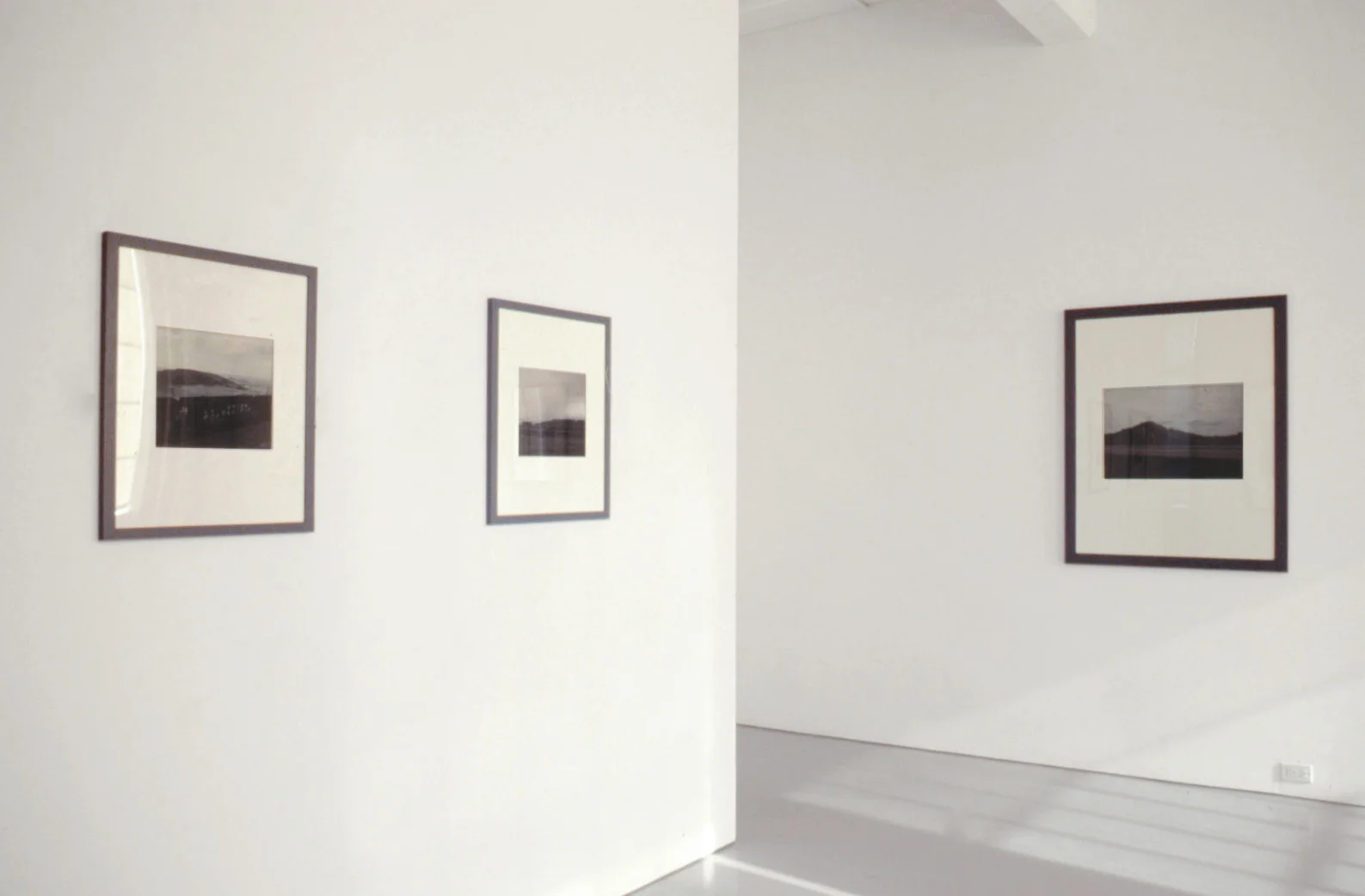 James Welling at Lawrence Markey 1992 5.jpeg